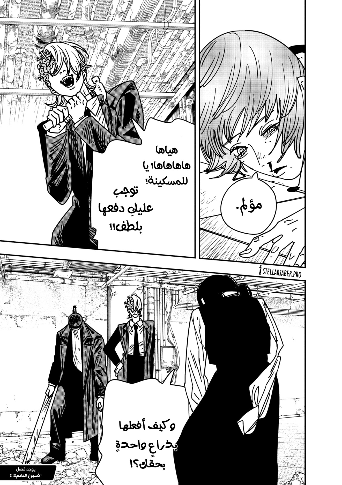 صفحة 17