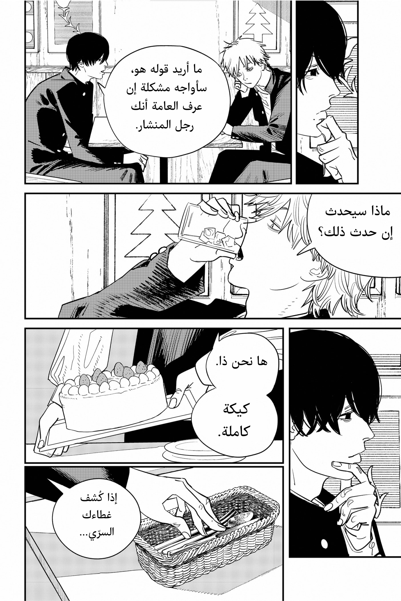 صفحة 13