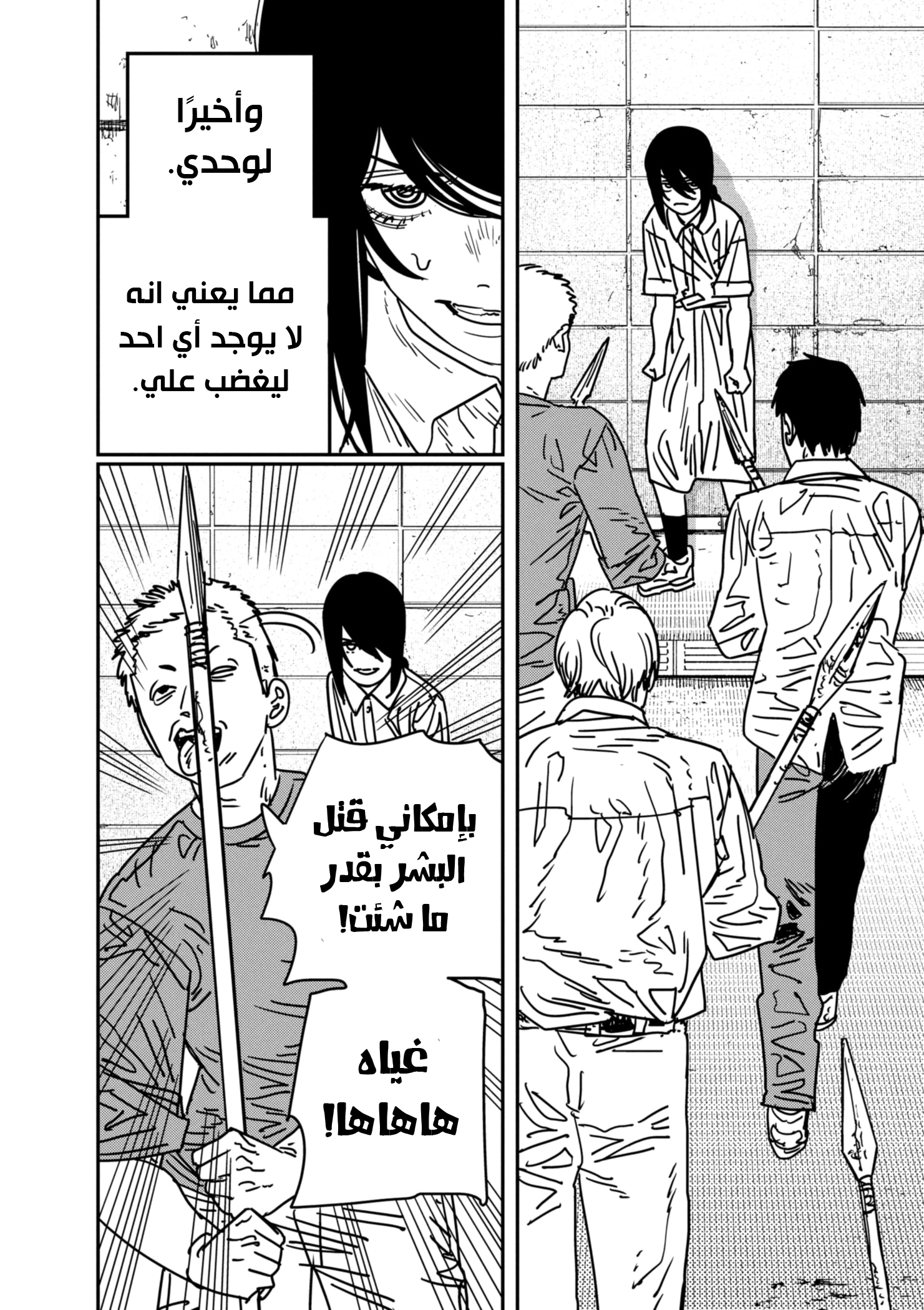 صفحة 13