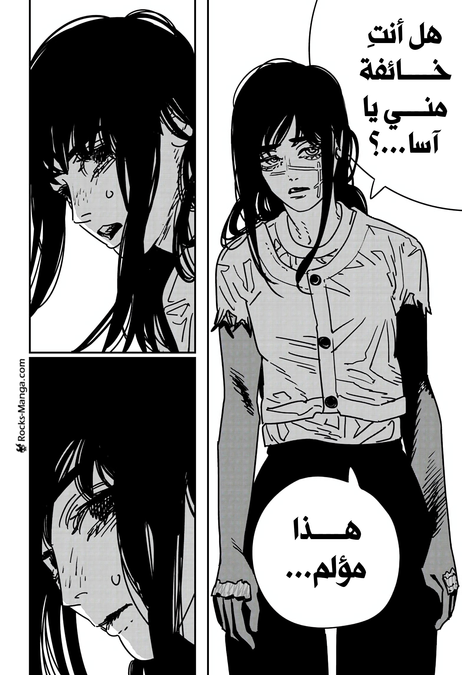 صفحة 12