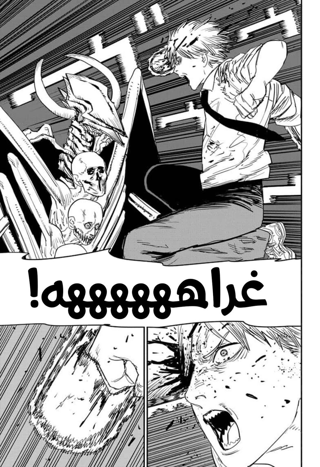 صفحة 13