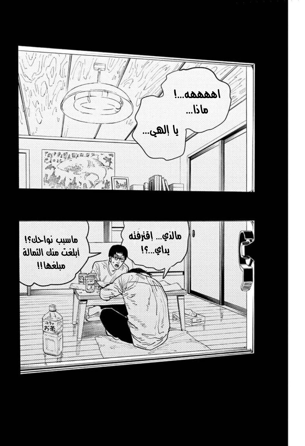 صفحة 13