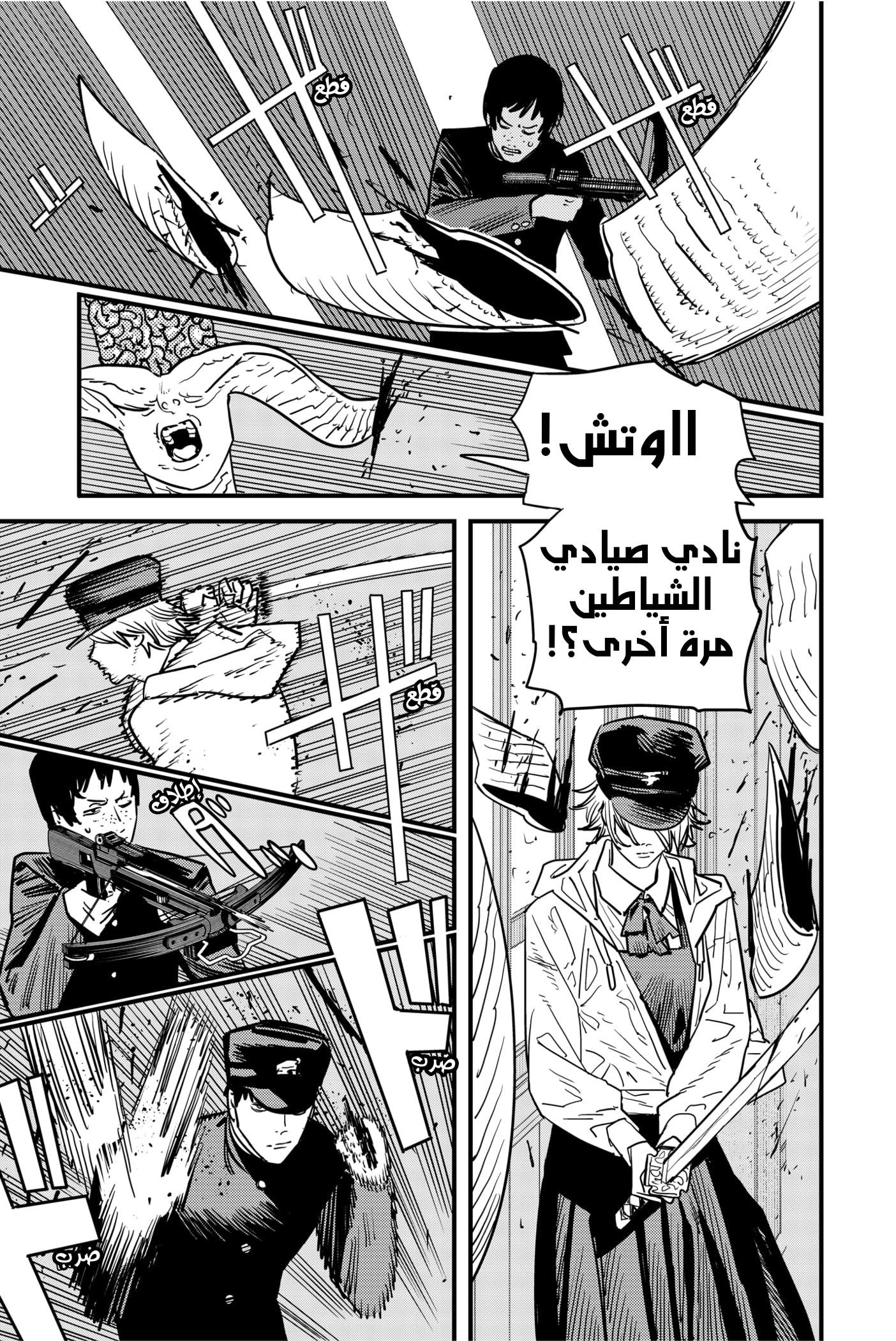 صفحة 13