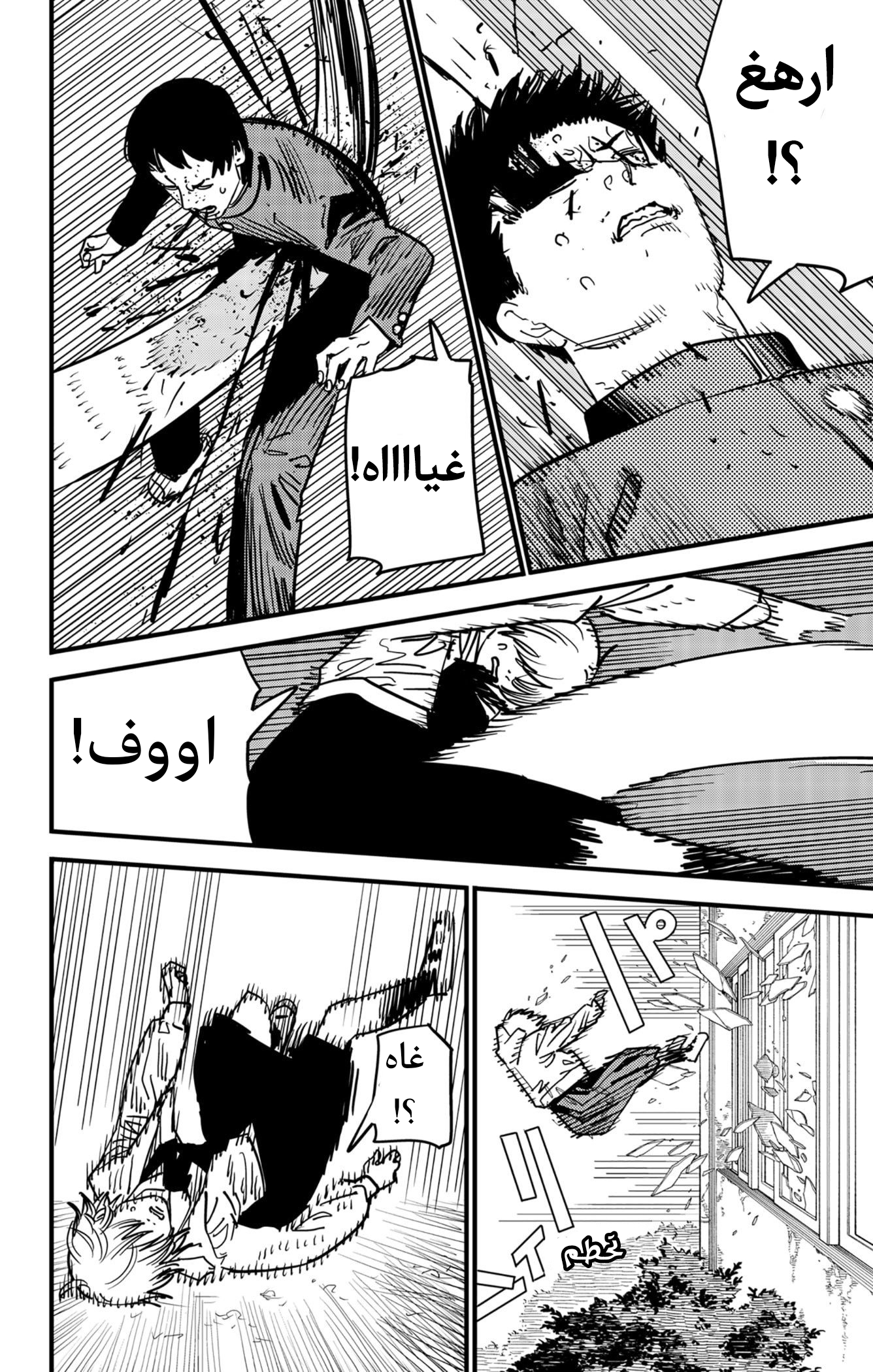 صفحة 16