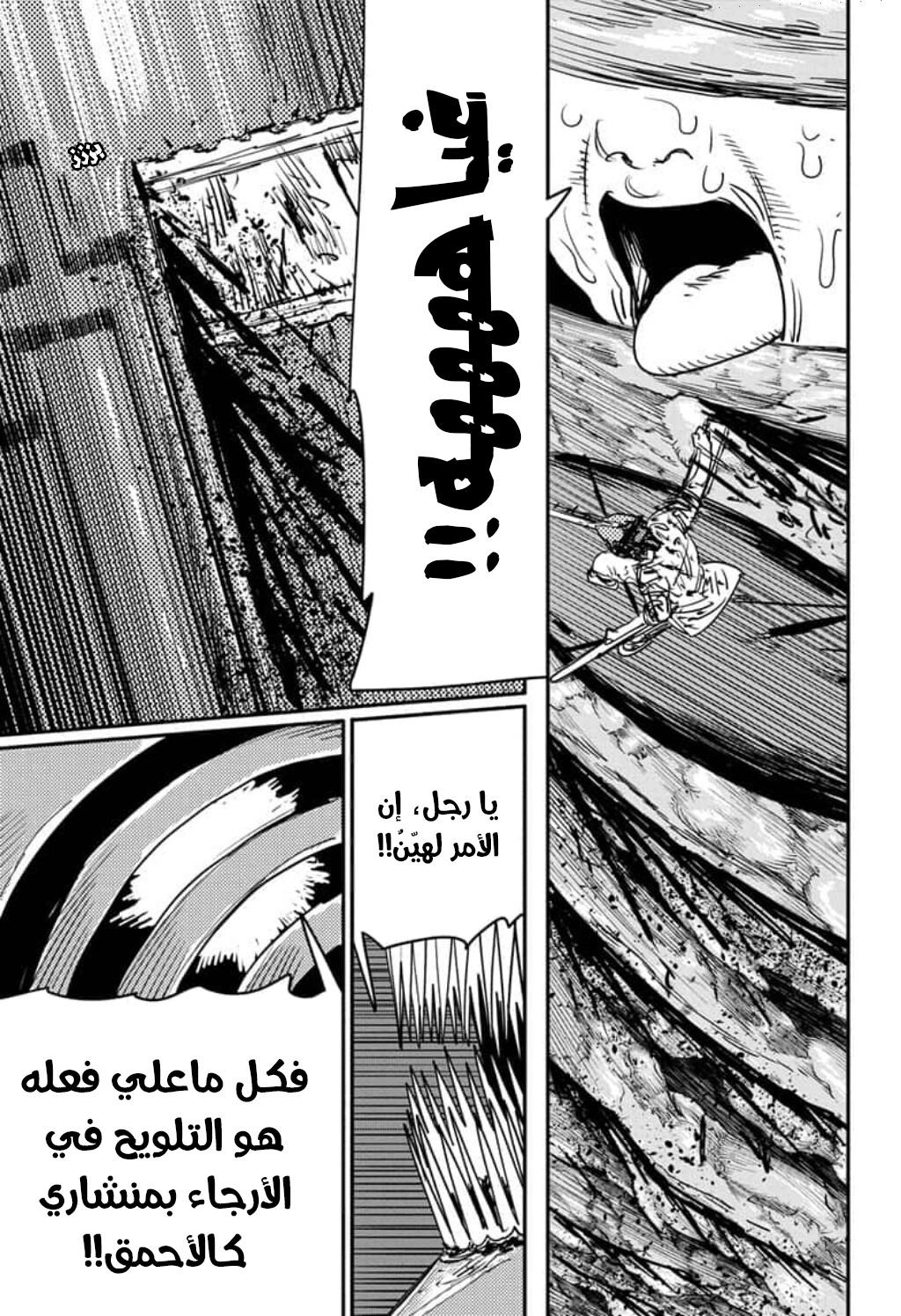 صفحة 13