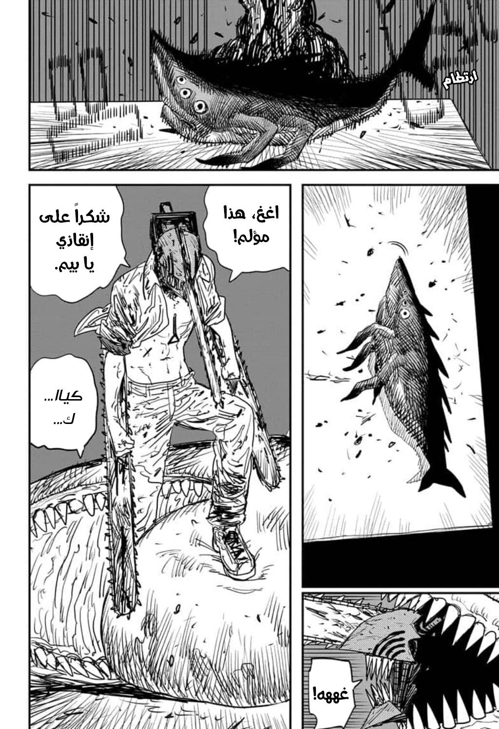 صفحة 17