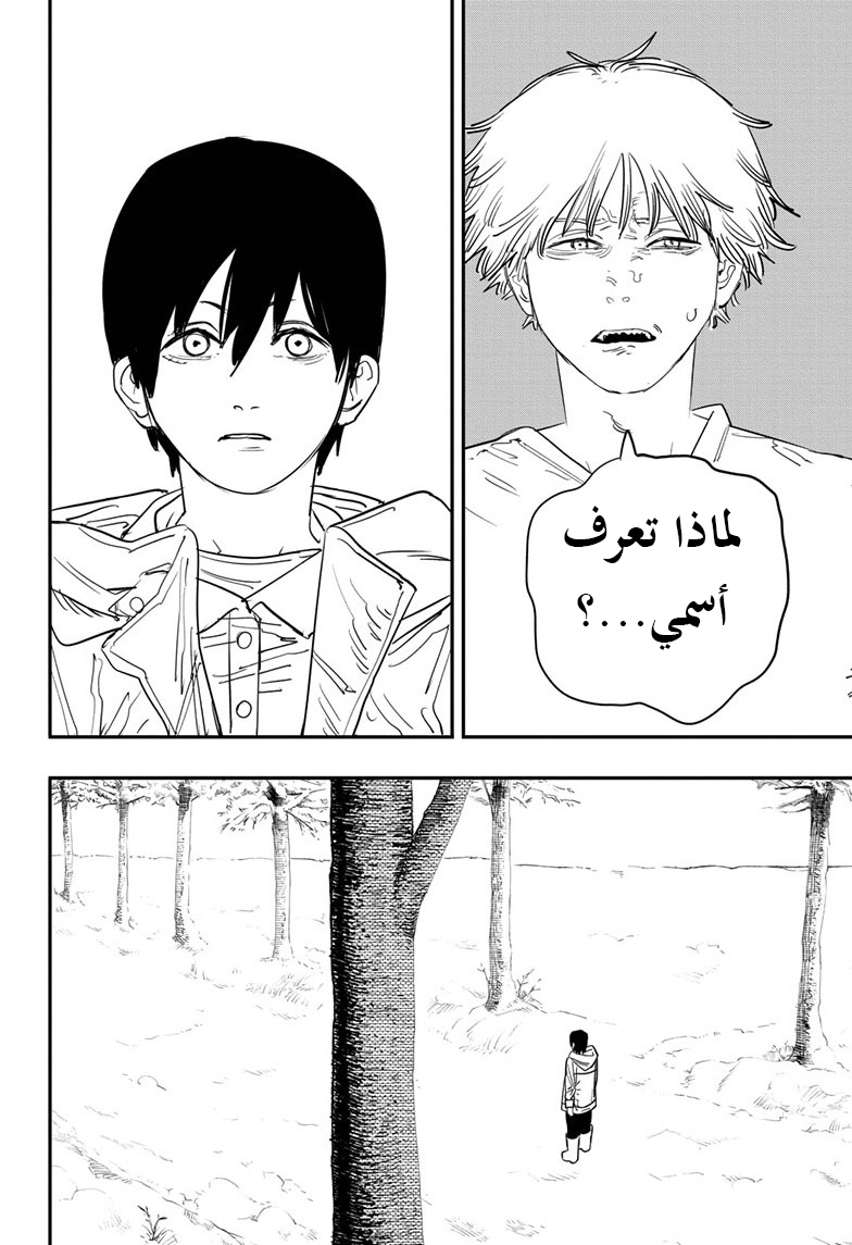 صفحة 13
