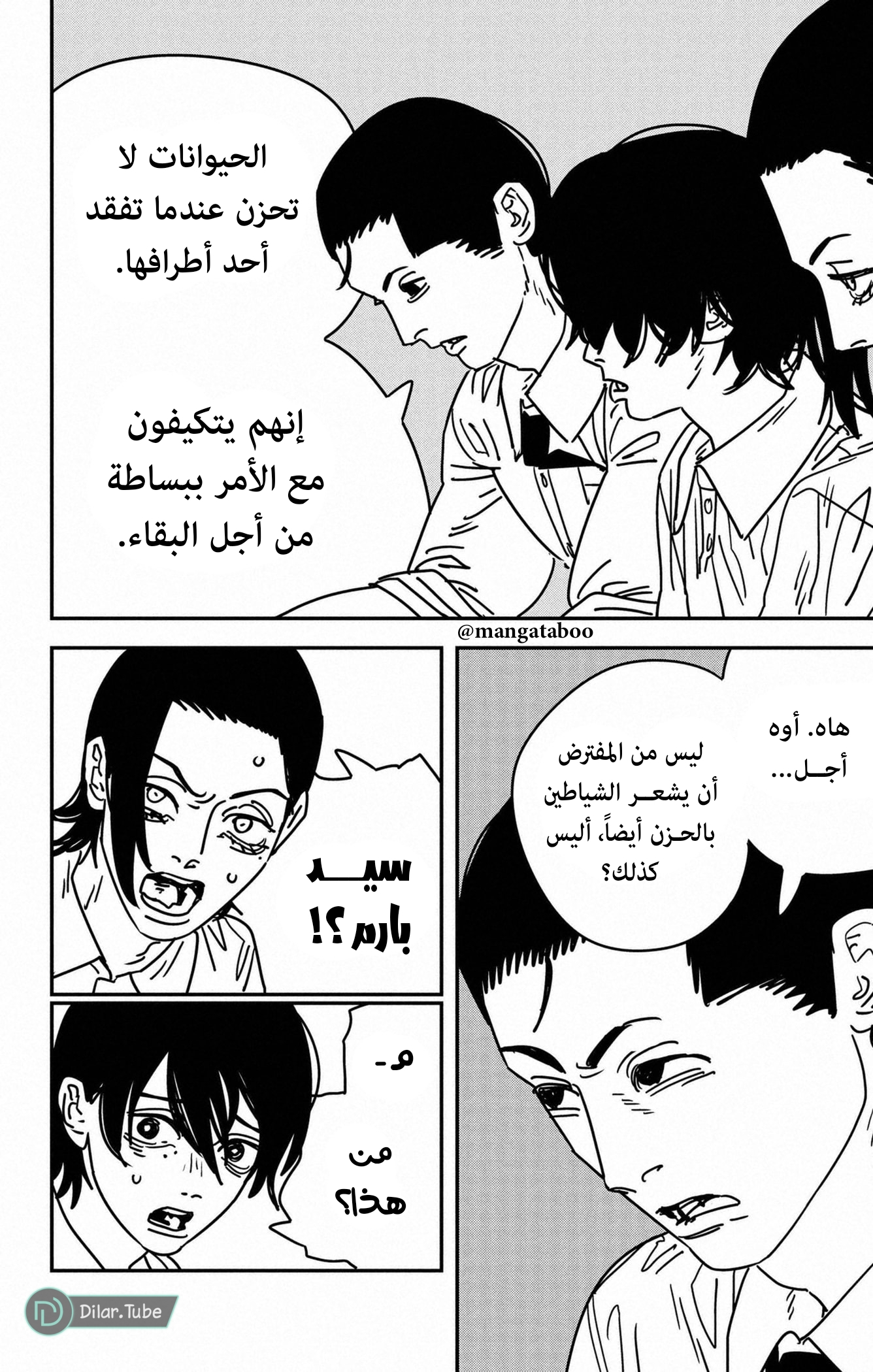 صفحة 11