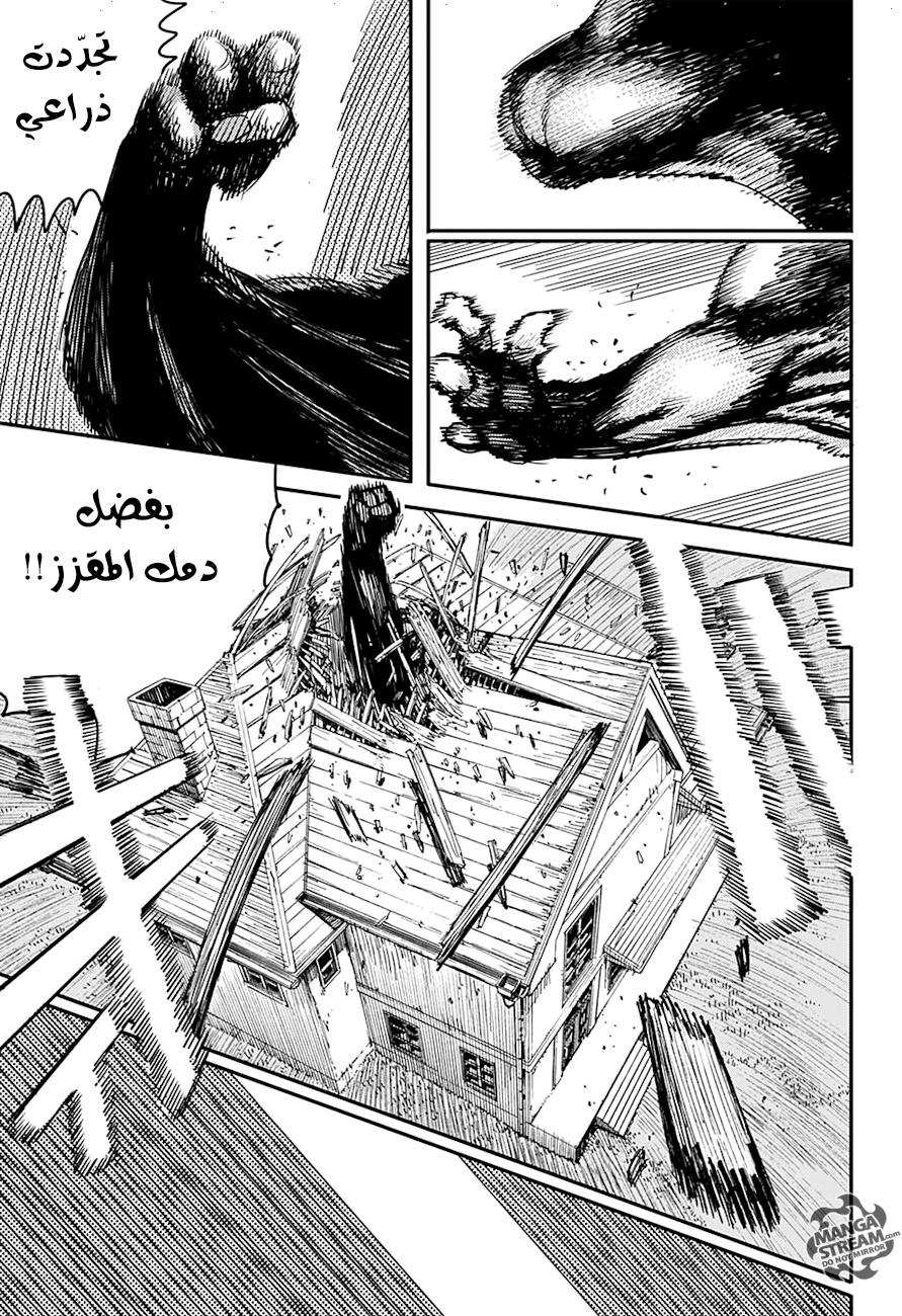 صفحة 17