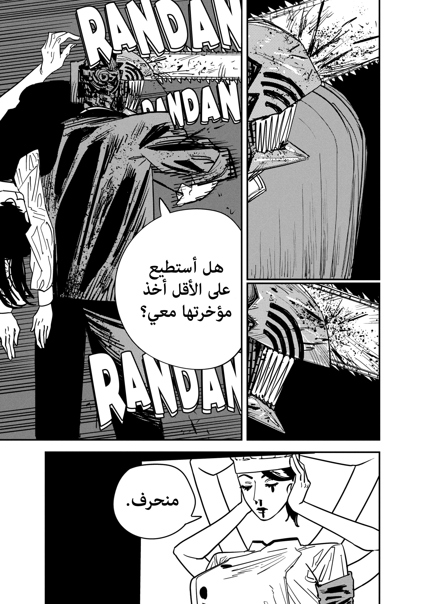 صفحة 13