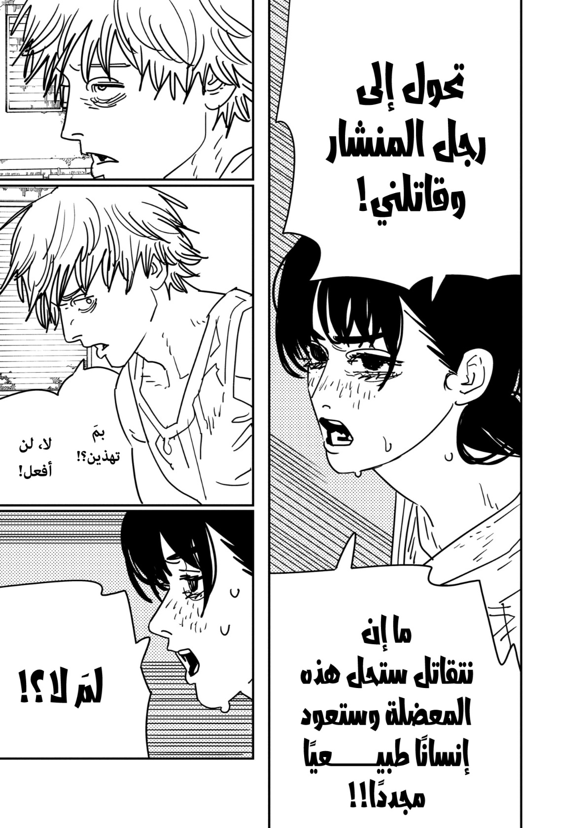 صفحة 13