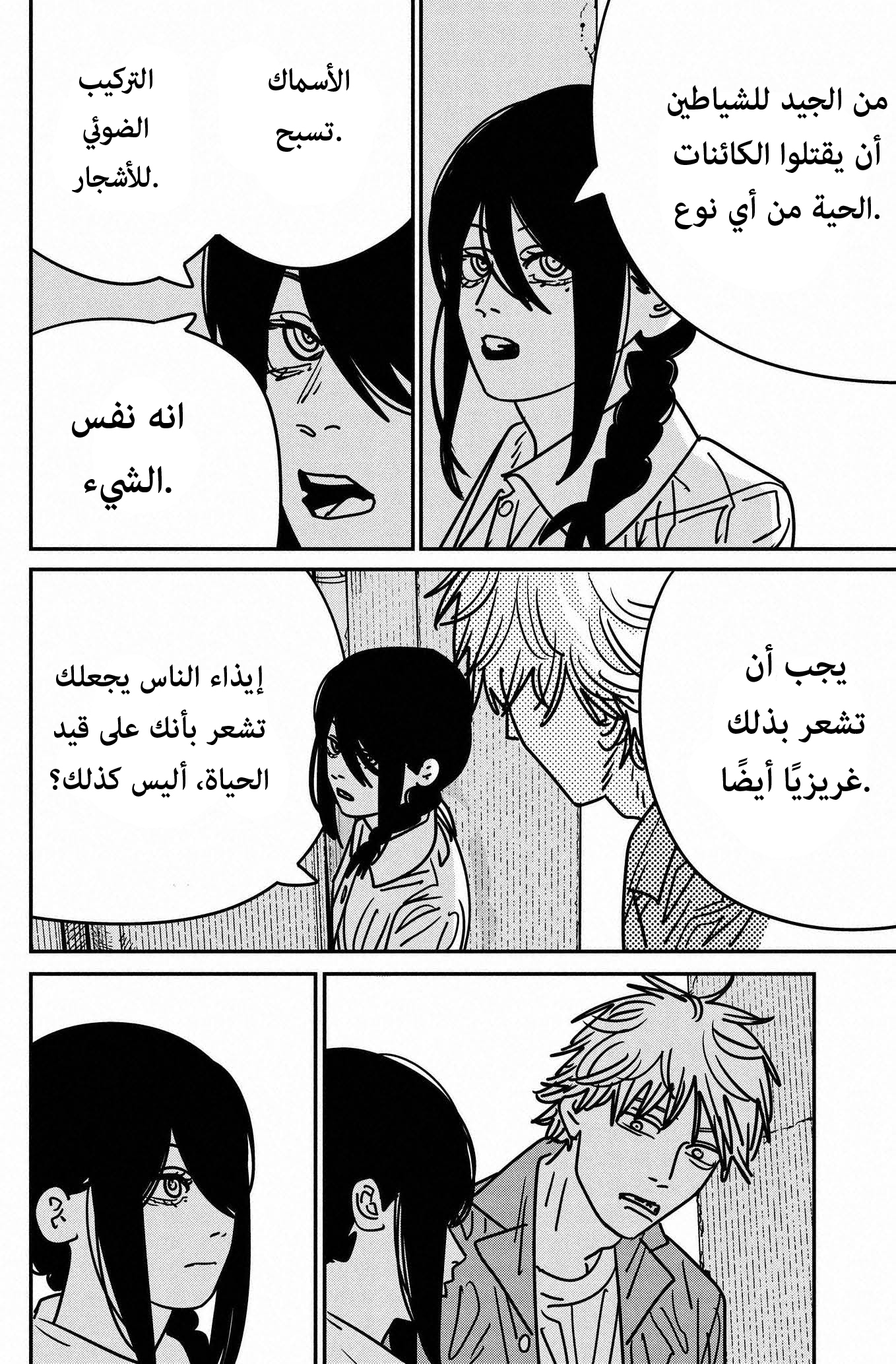 صفحة 13