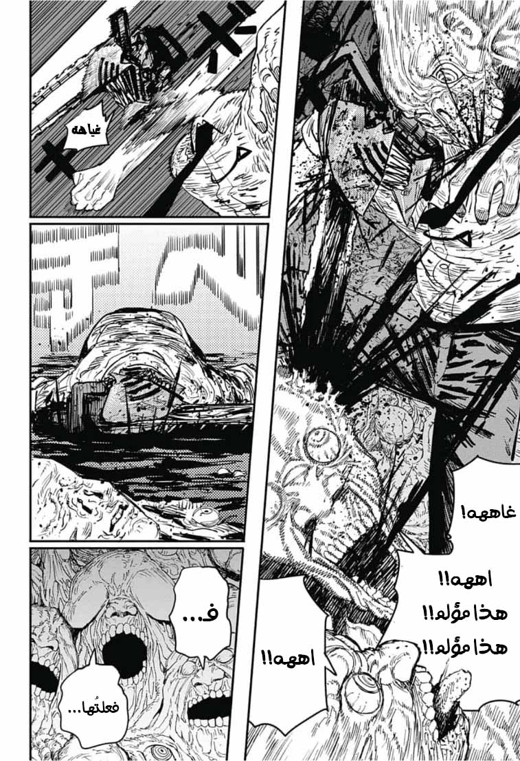 صفحة 13
