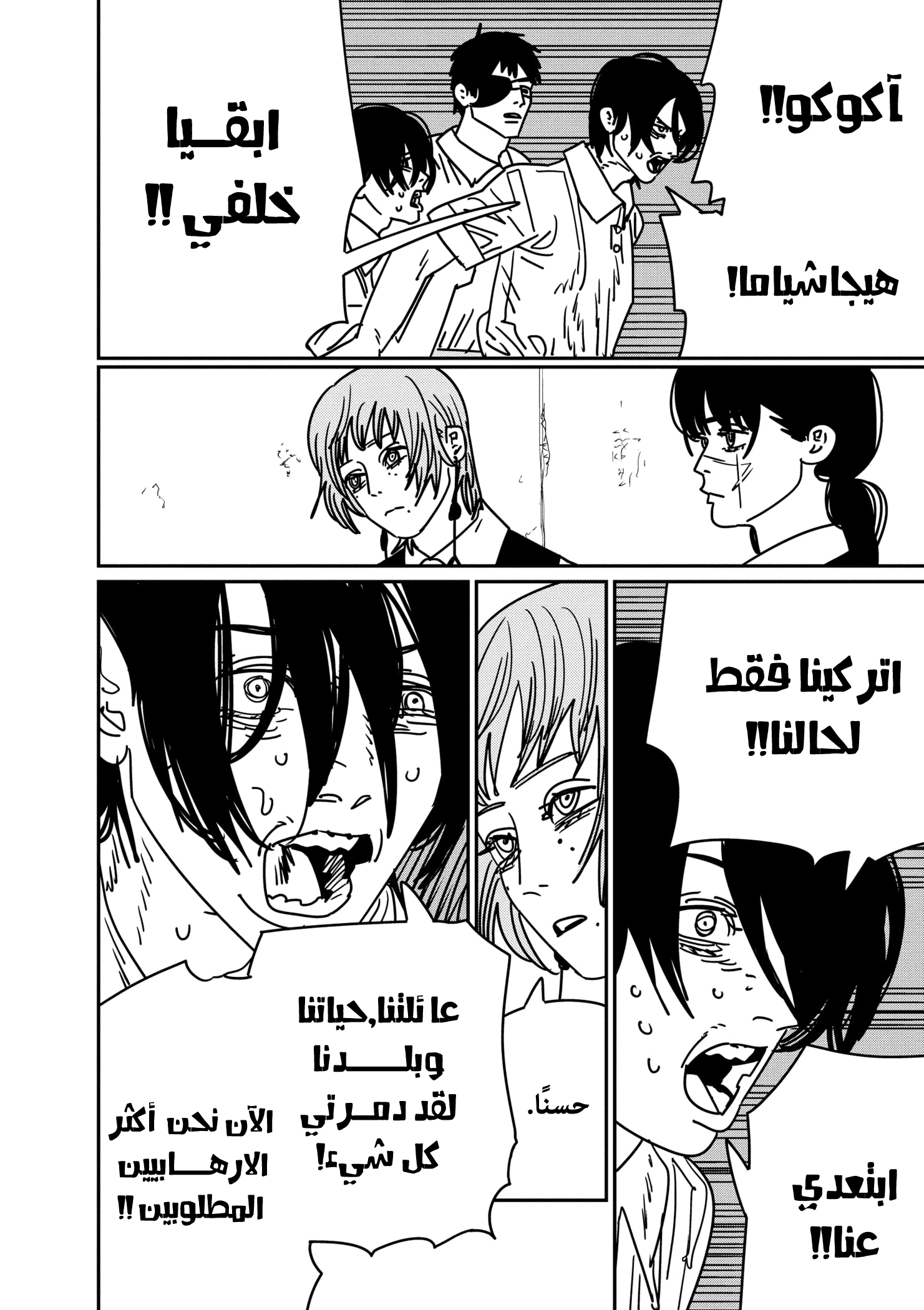 صفحة 13