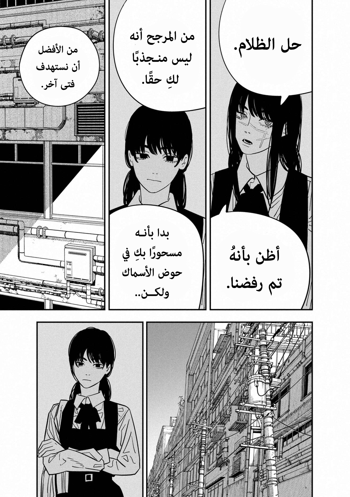 صفحة 13
