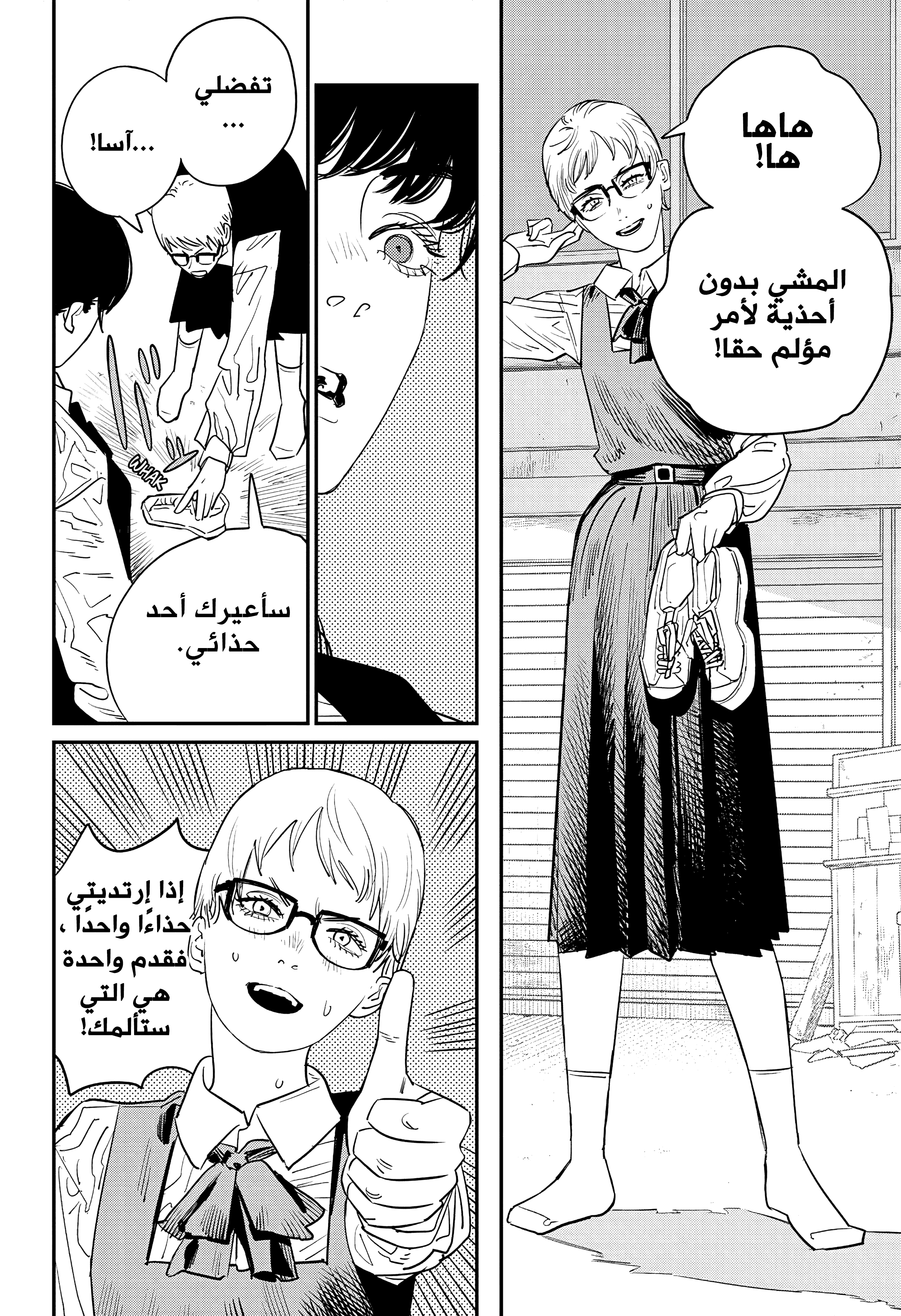 صفحة 13
