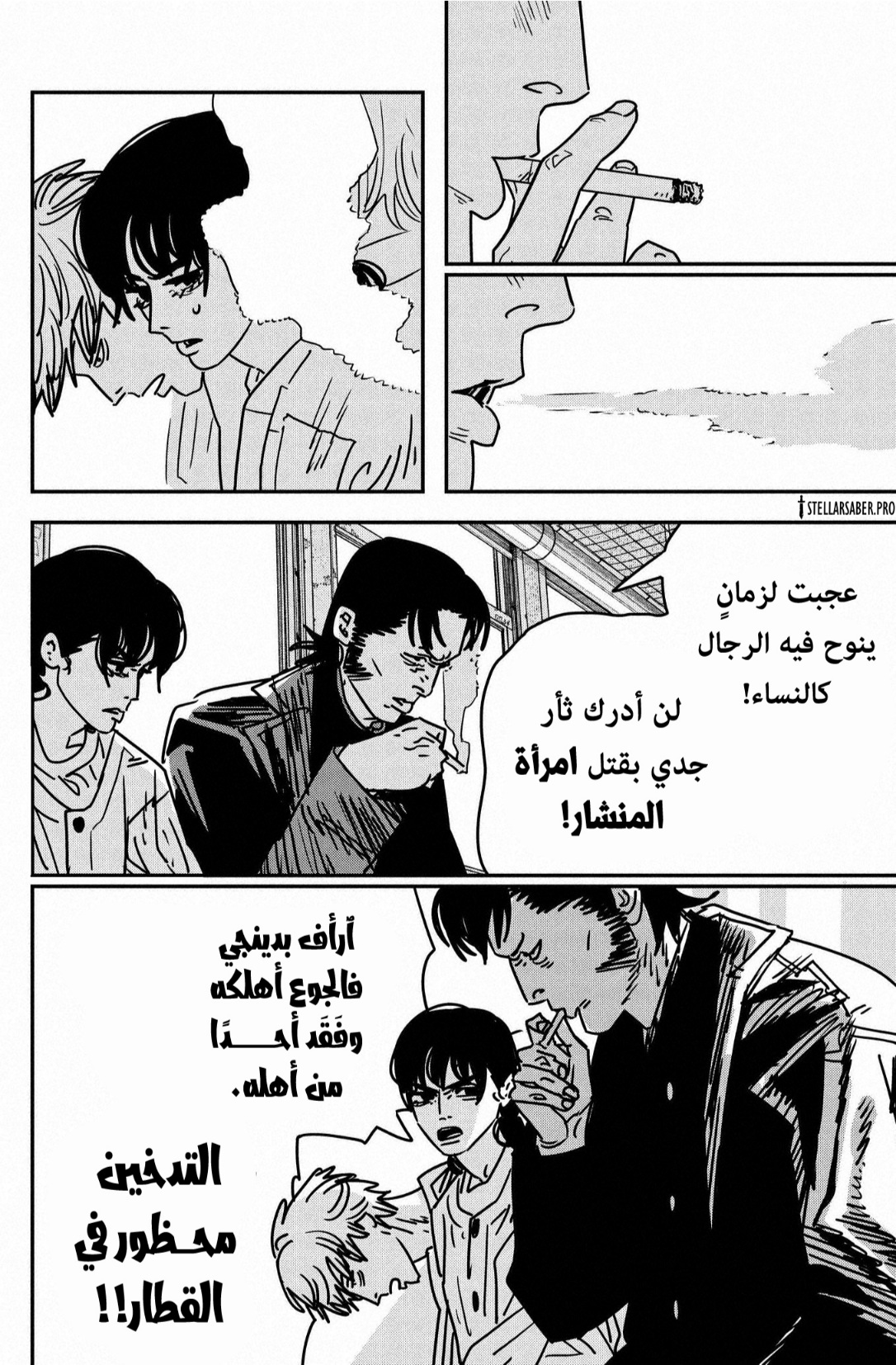 صفحة 13
