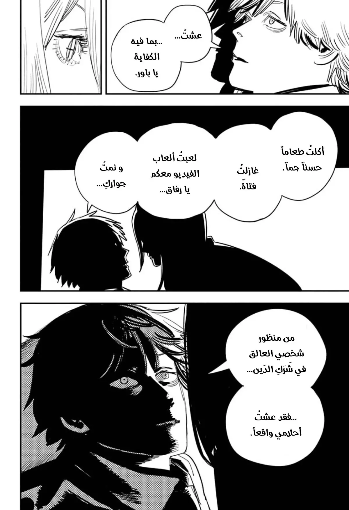 صفحة 13