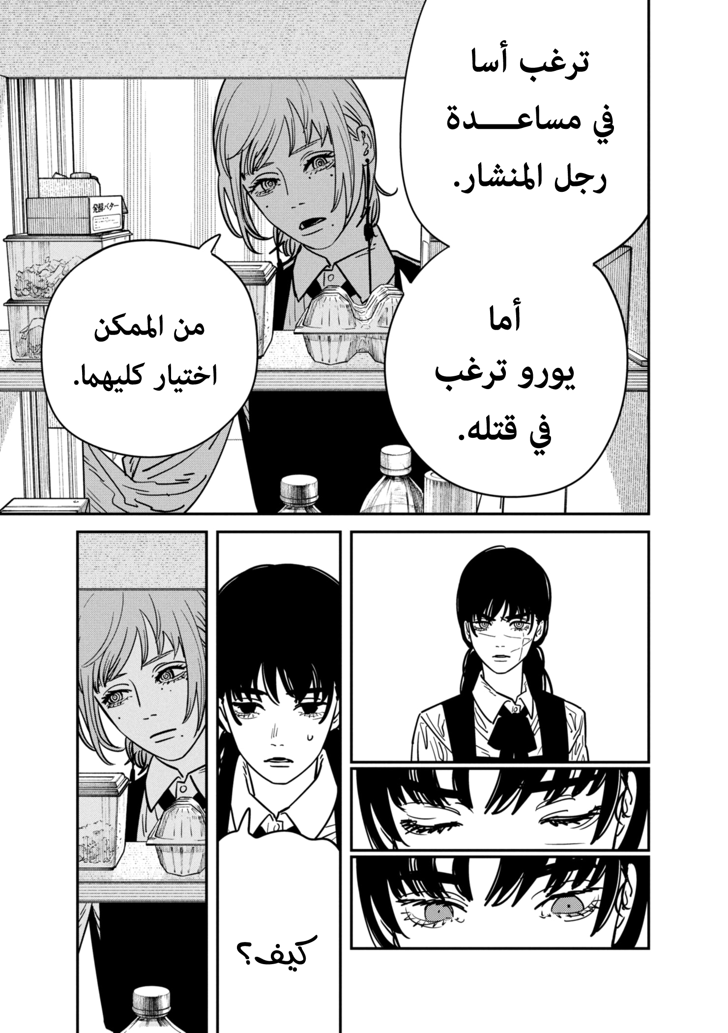 صفحة 13