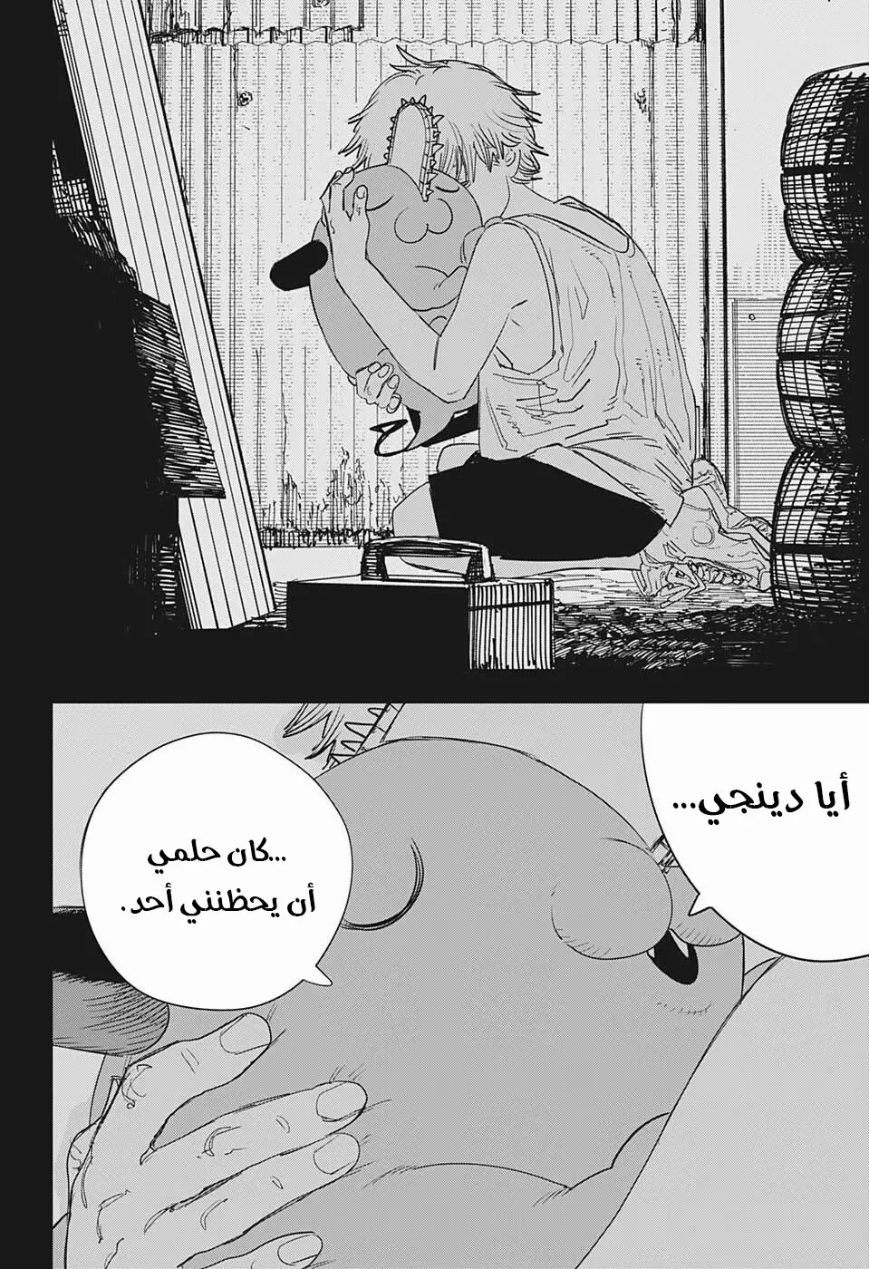صفحة 16