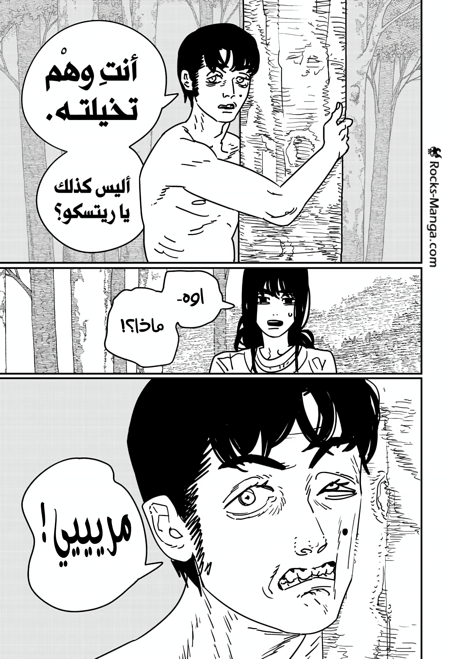صفحة 16