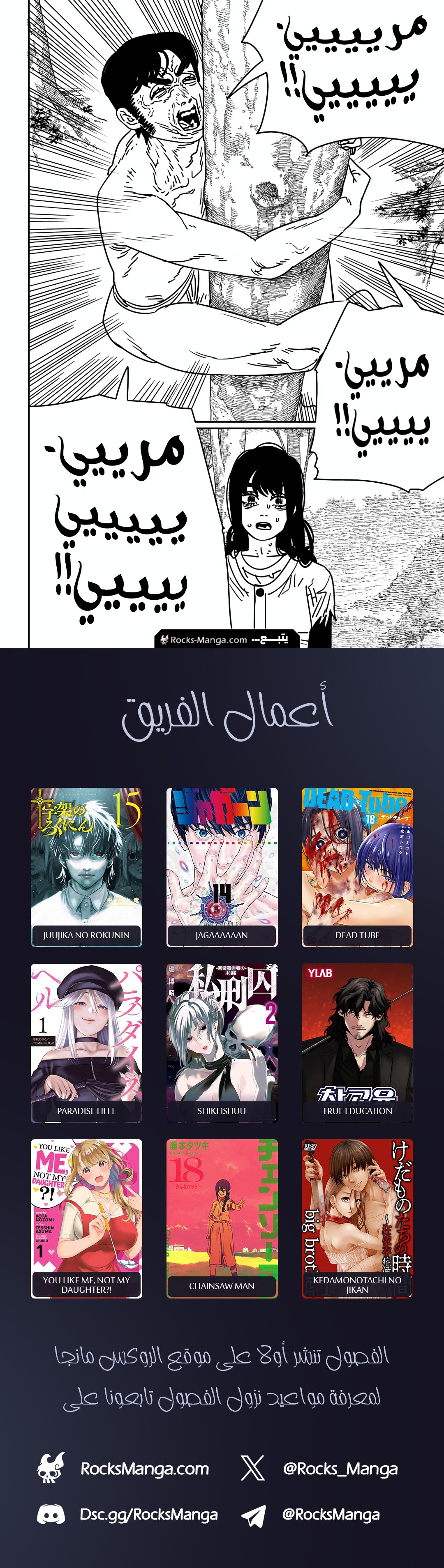 صفحة 17