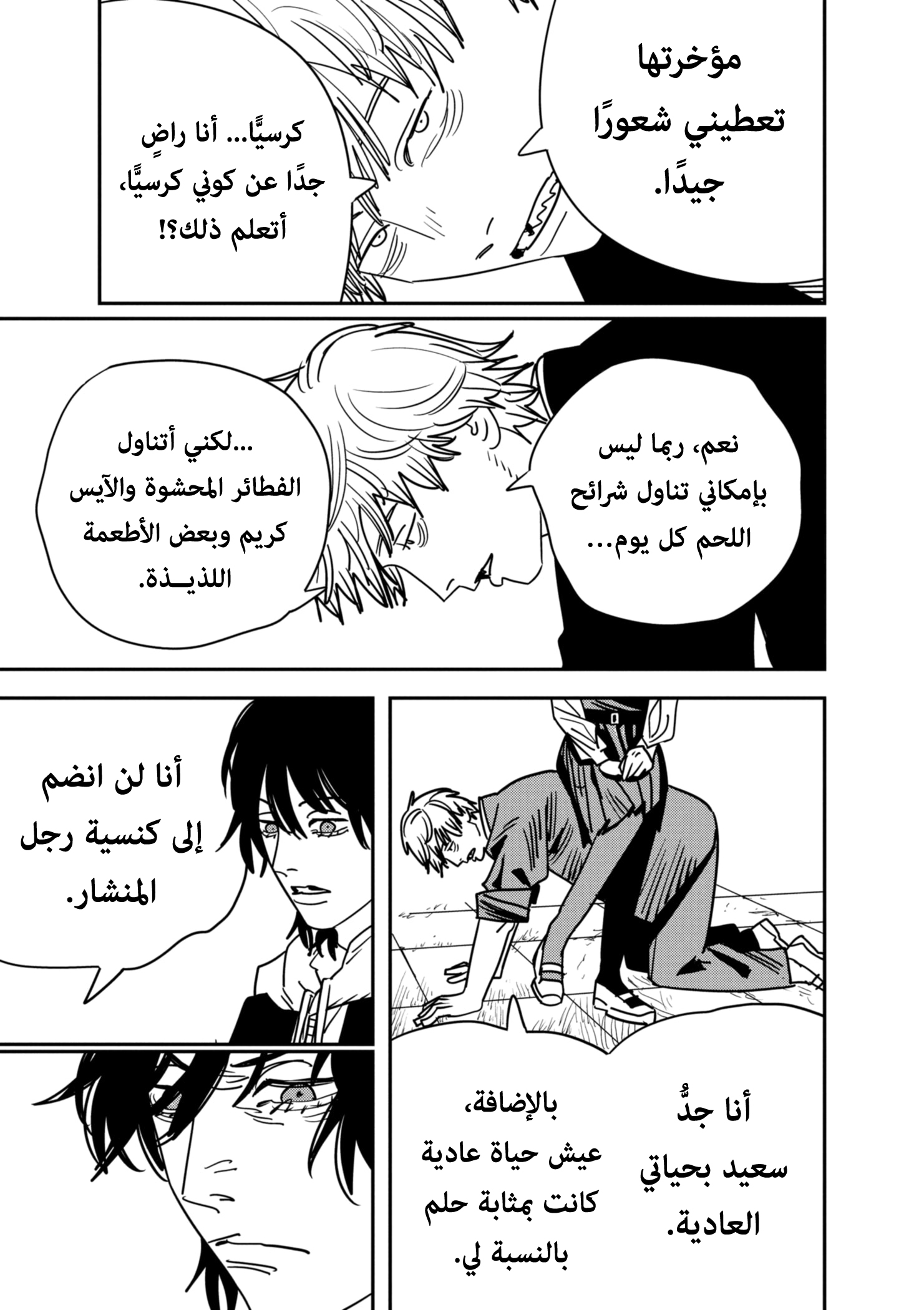 صفحة 13