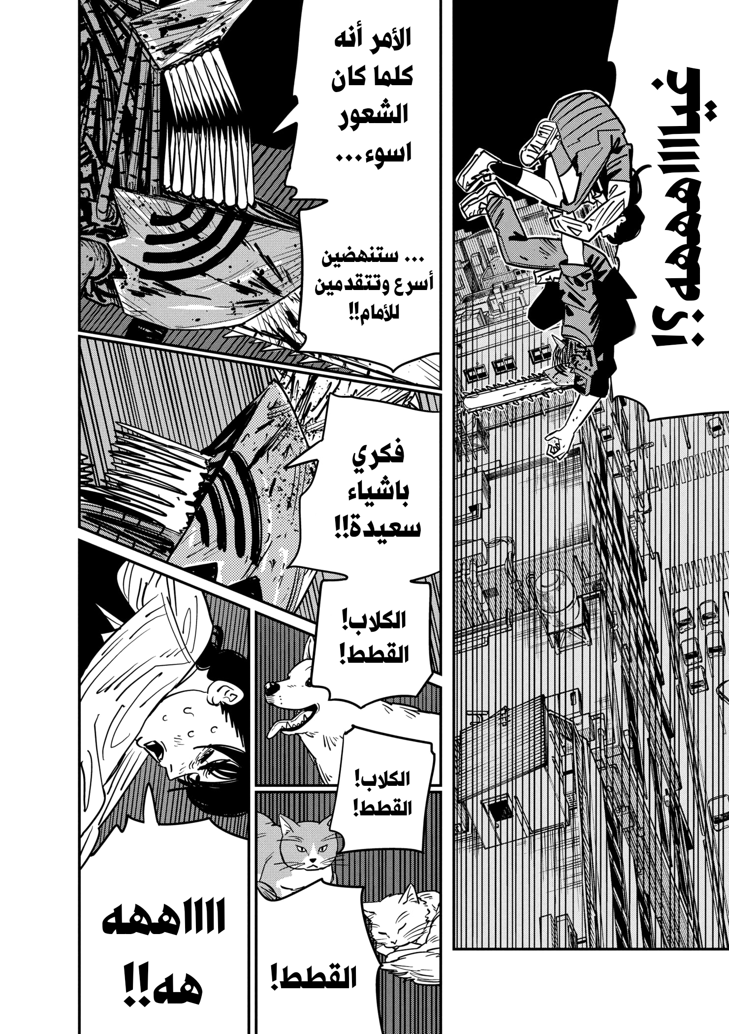 صفحة 11