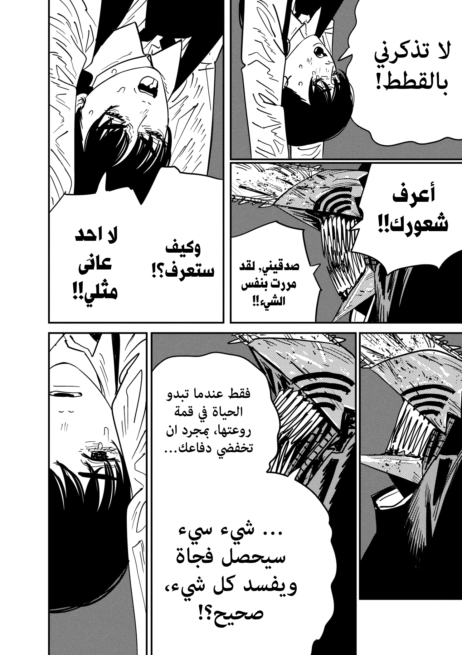صفحة 13