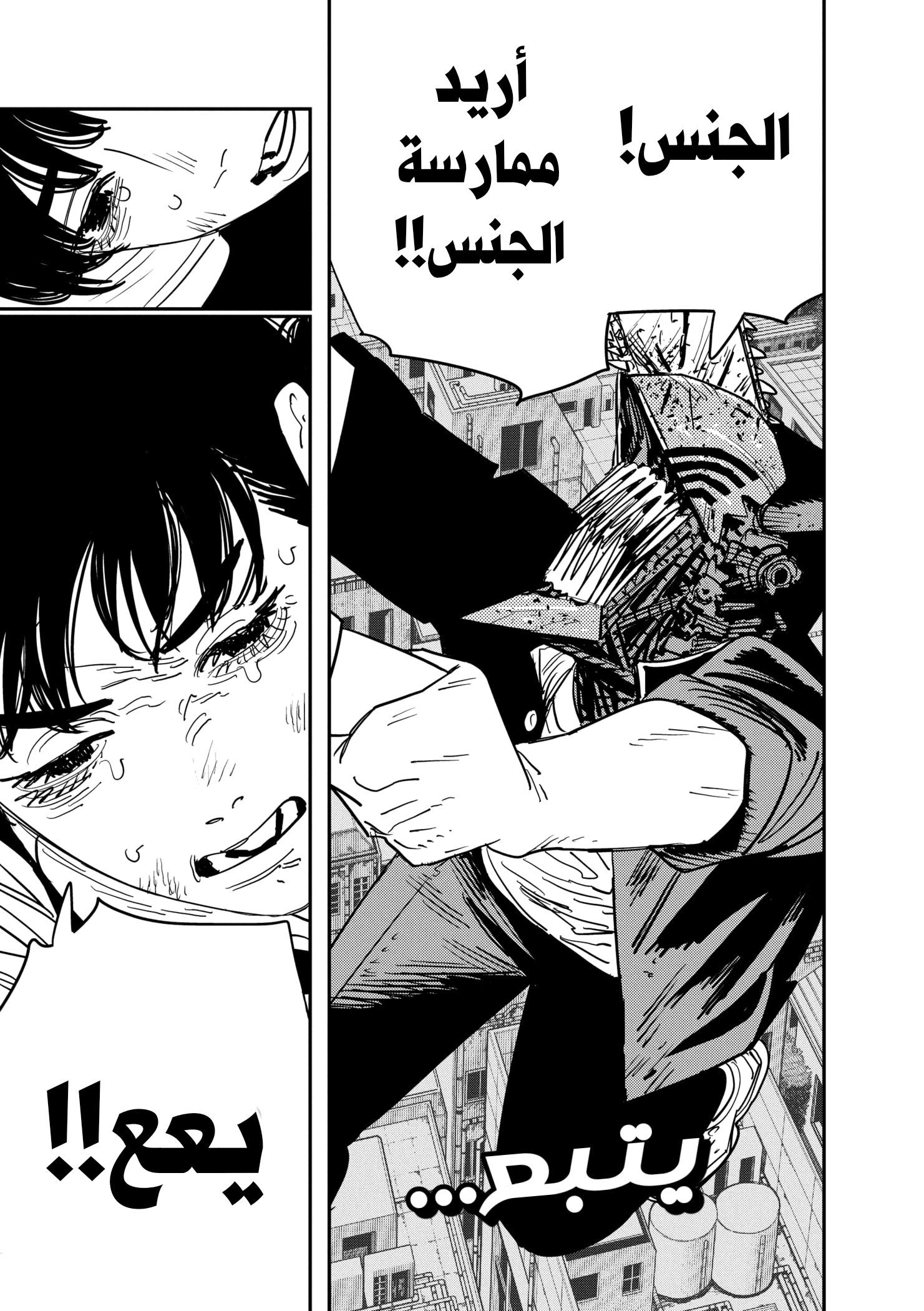 صفحة 16