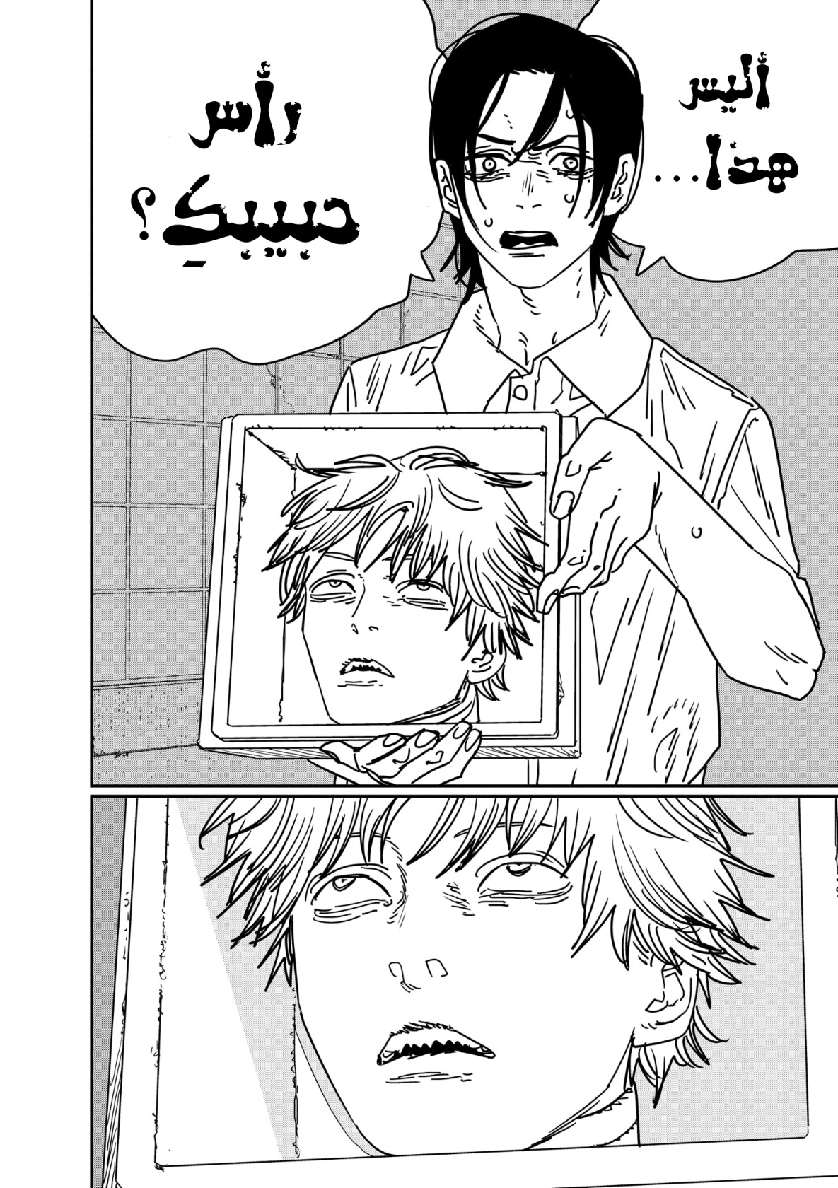 صفحة 13