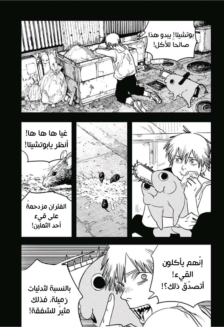 صفحة 13