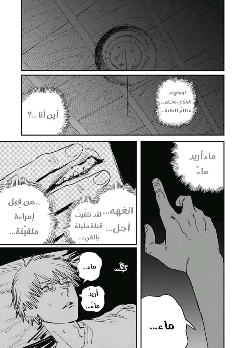 صفحة 17