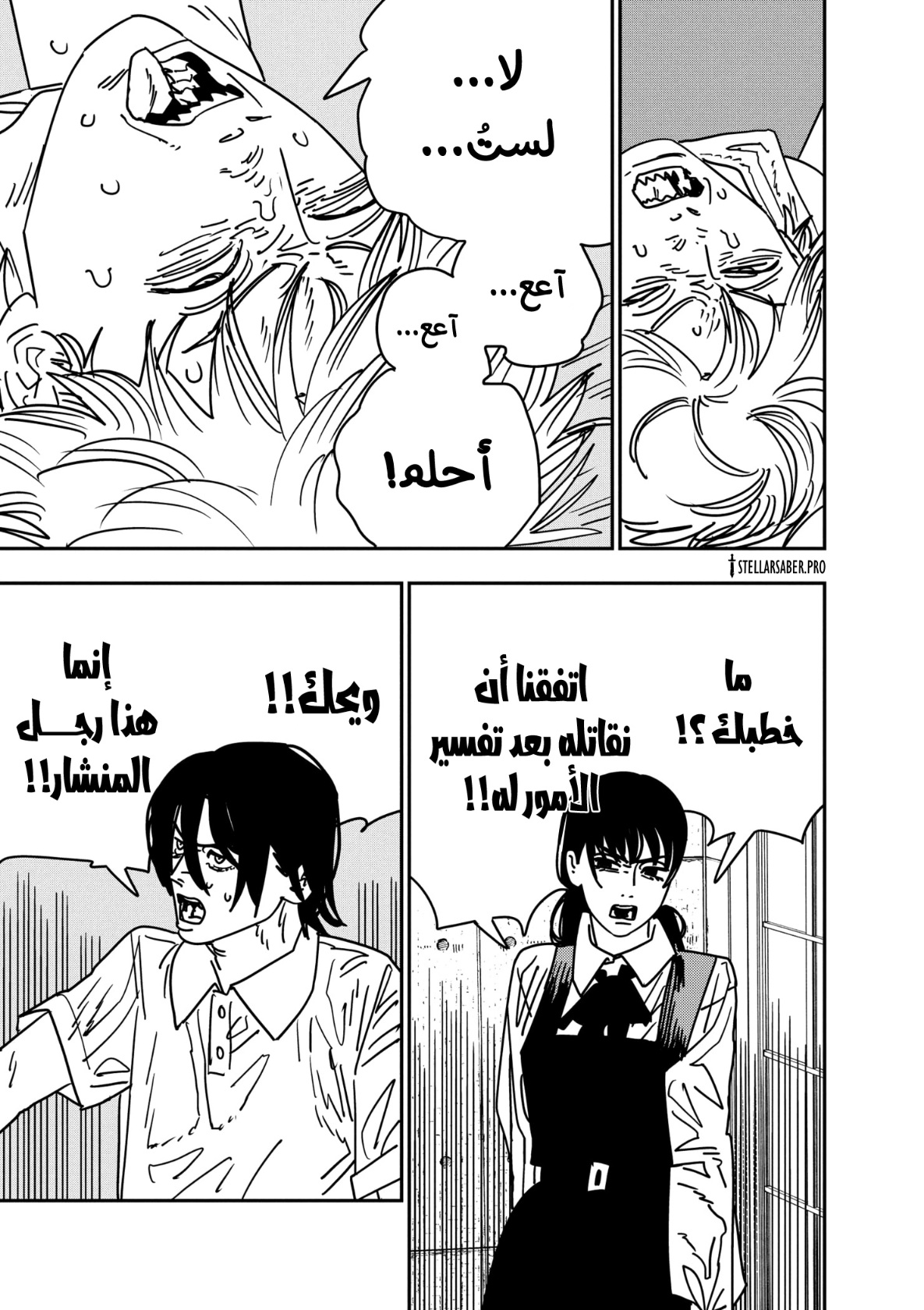 صفحة 16