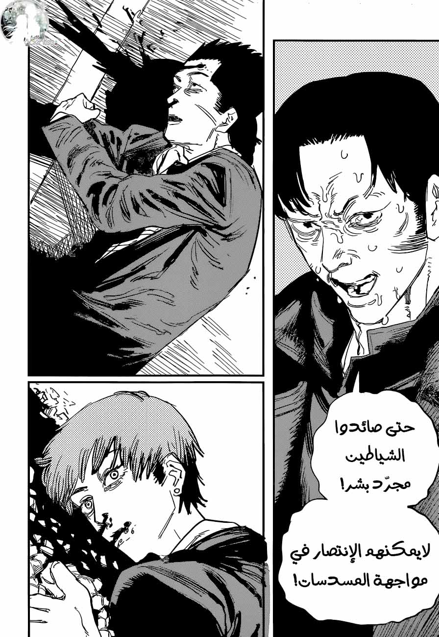 صفحة 13