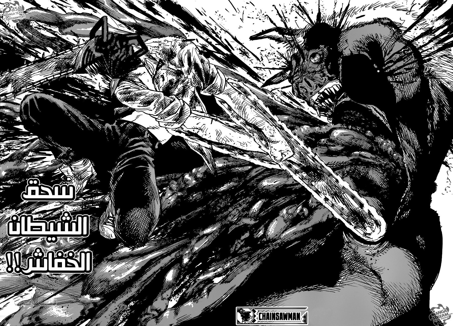 صفحة 17
