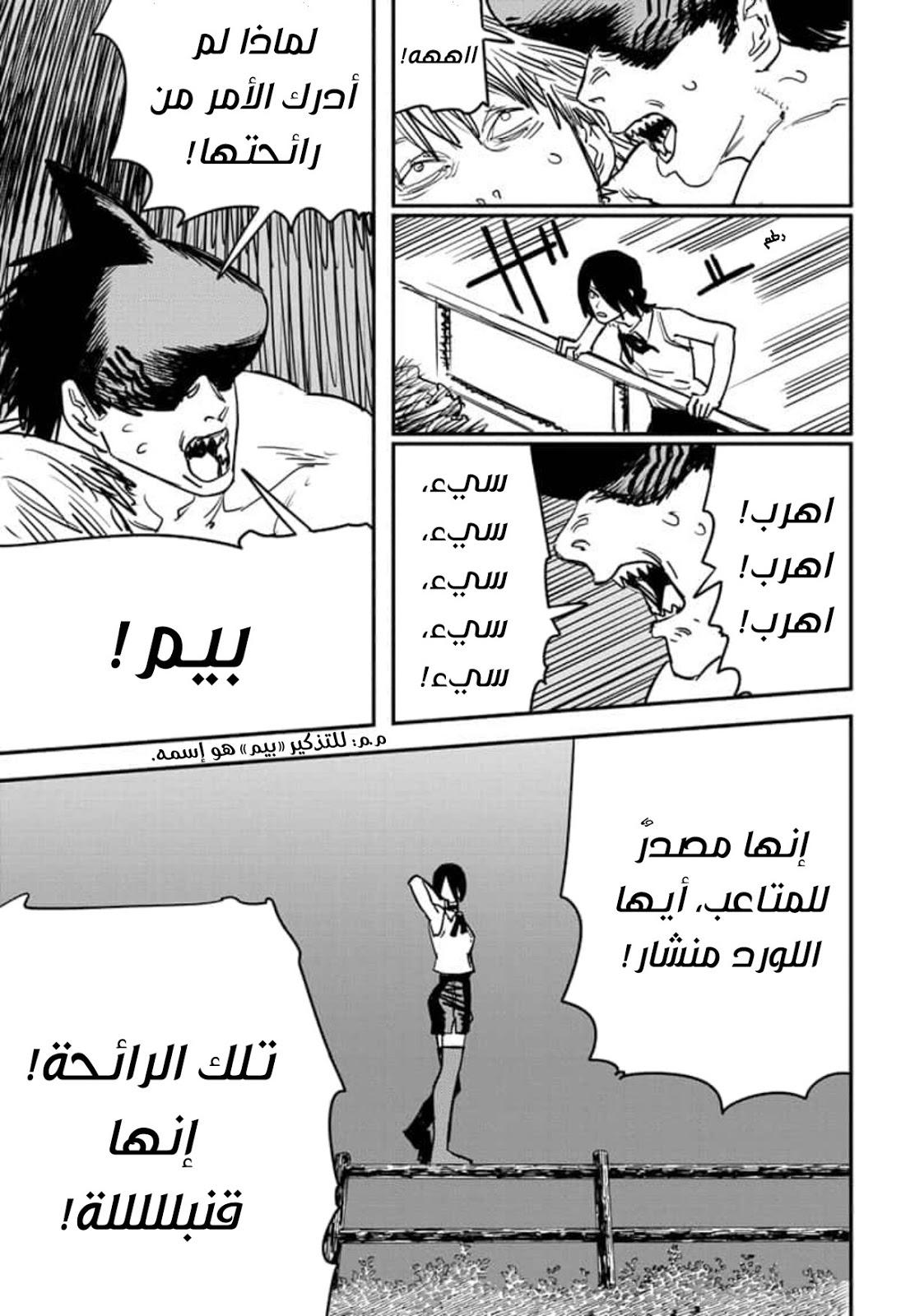 صفحة 13