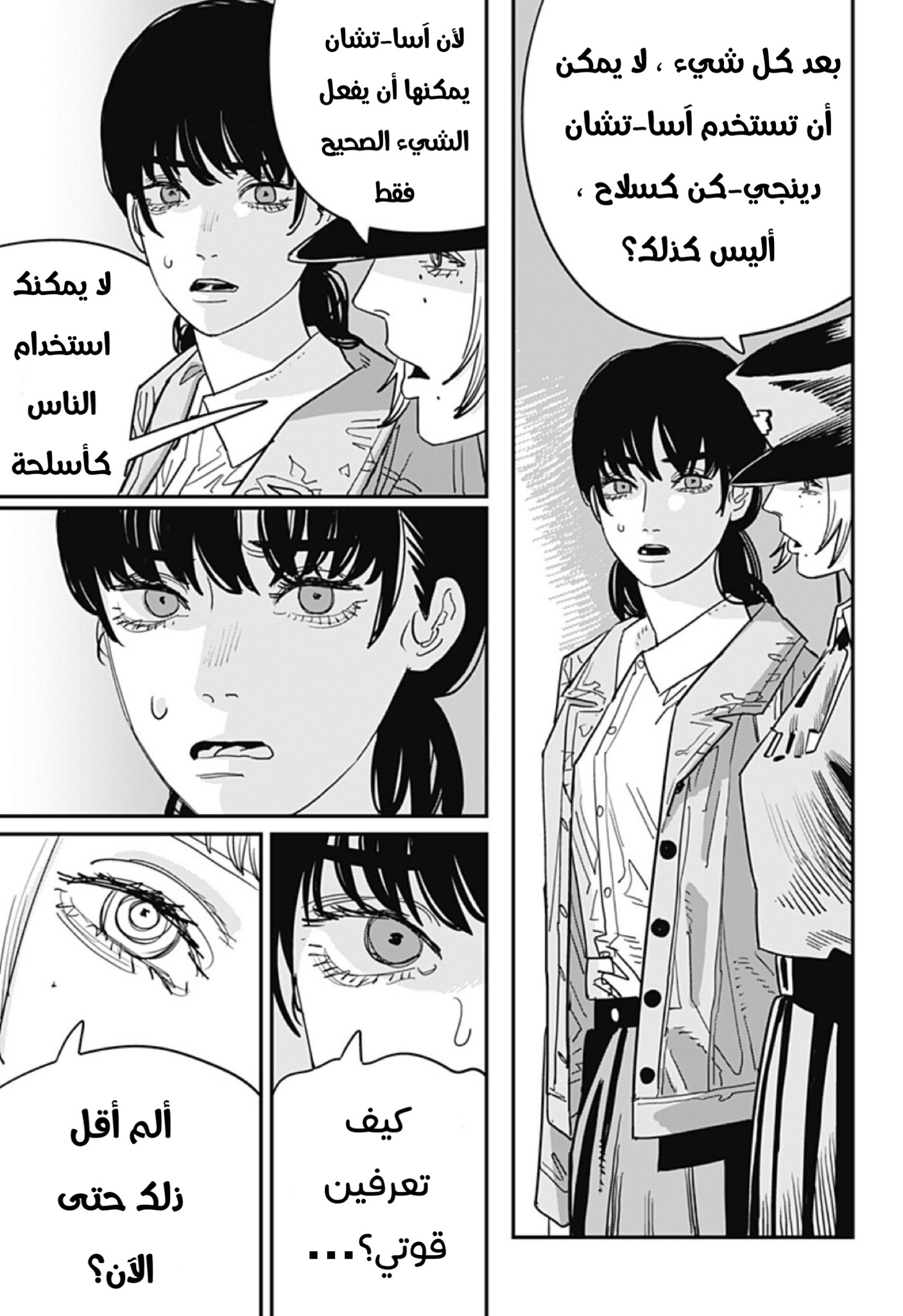 صفحة 13