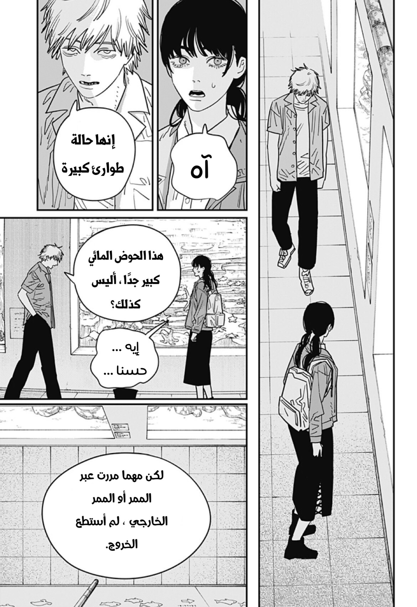 صفحة 17