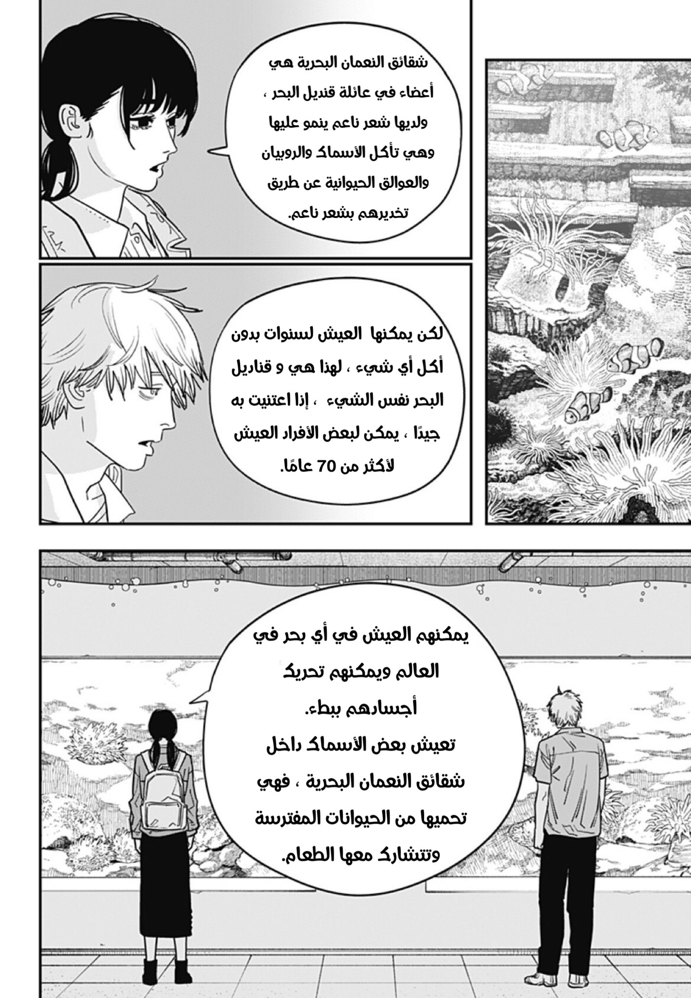 صفحة 4