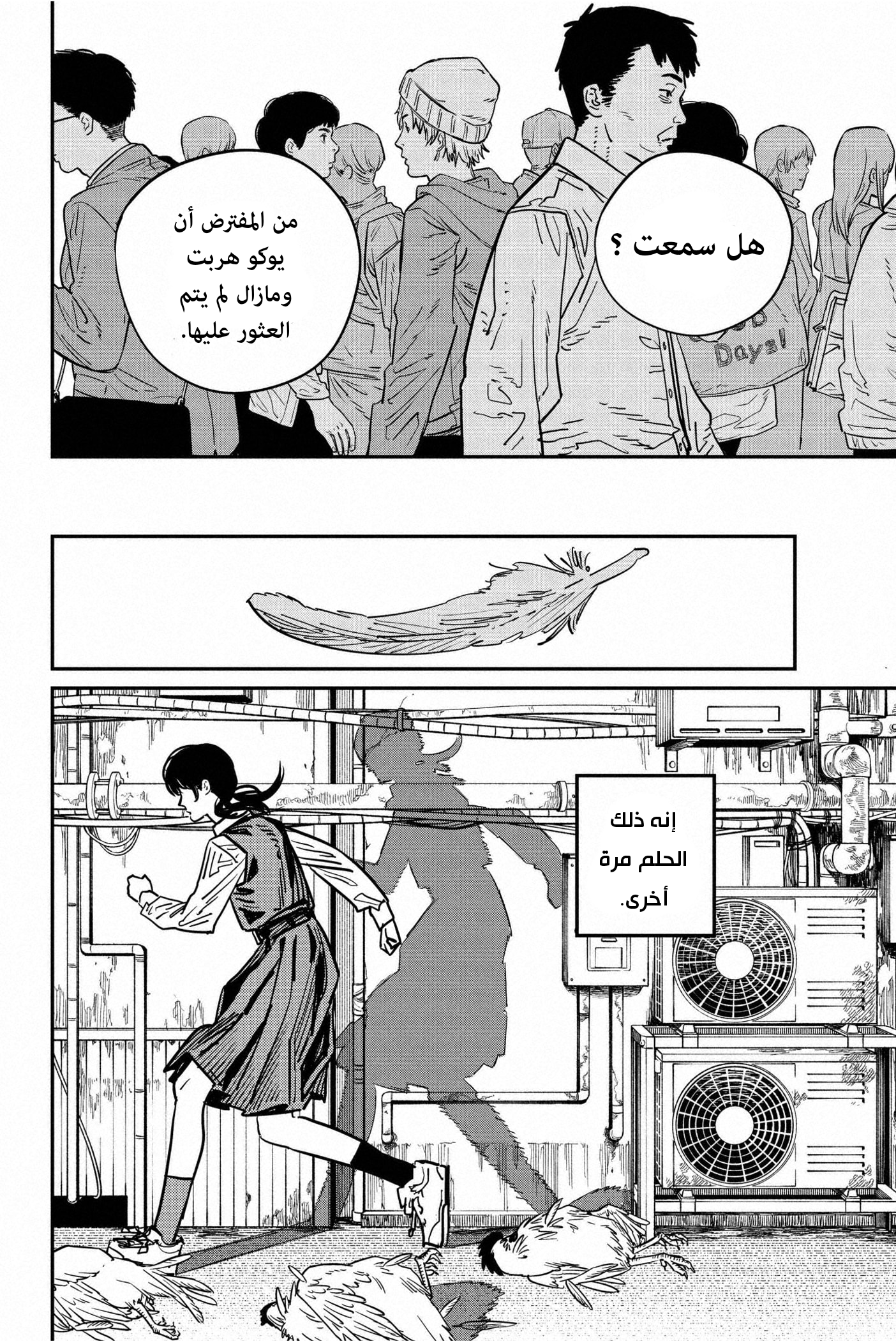 صفحة 11