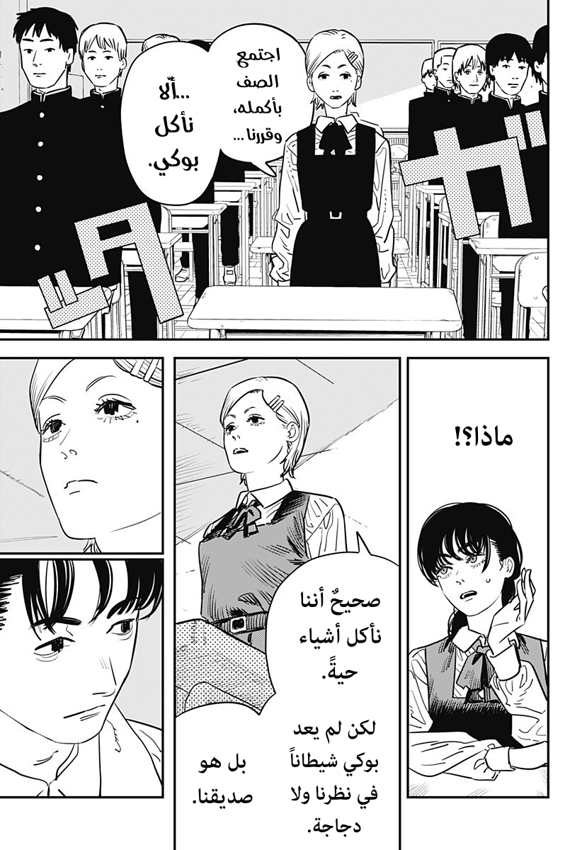 صفحة 13