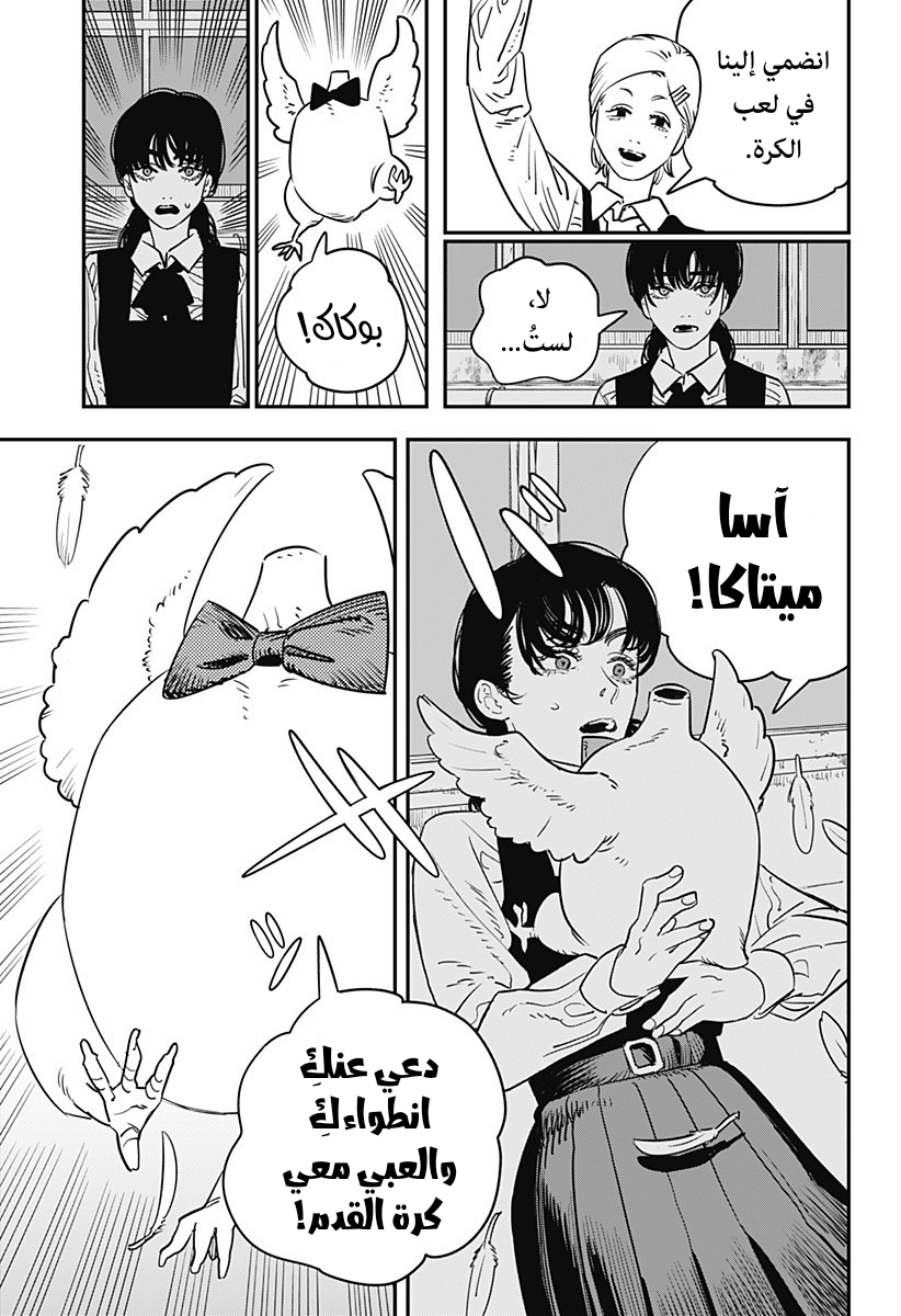 صفحة 17
