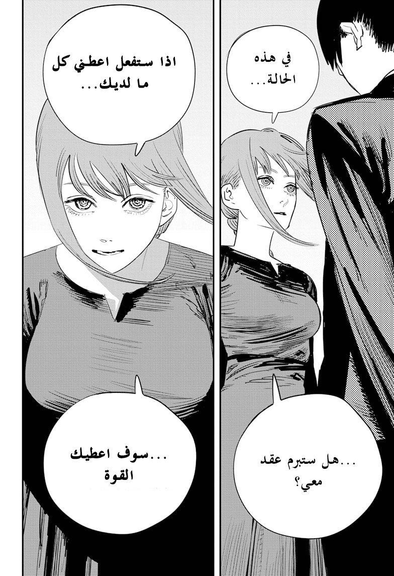 صفحة 13