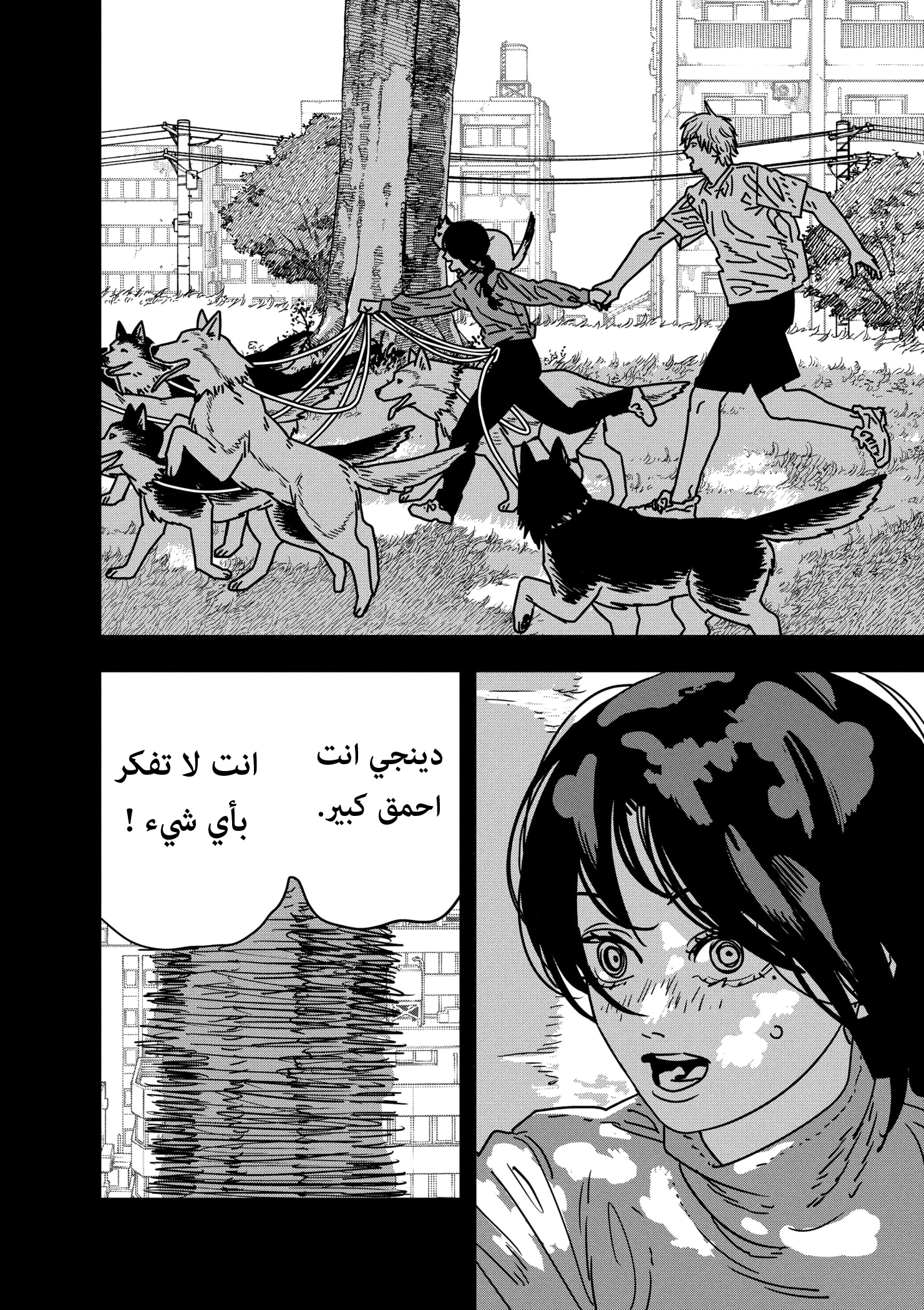 صفحة 12