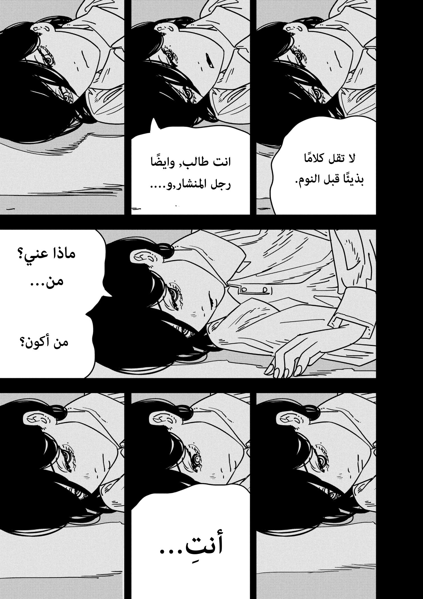 صفحة 13