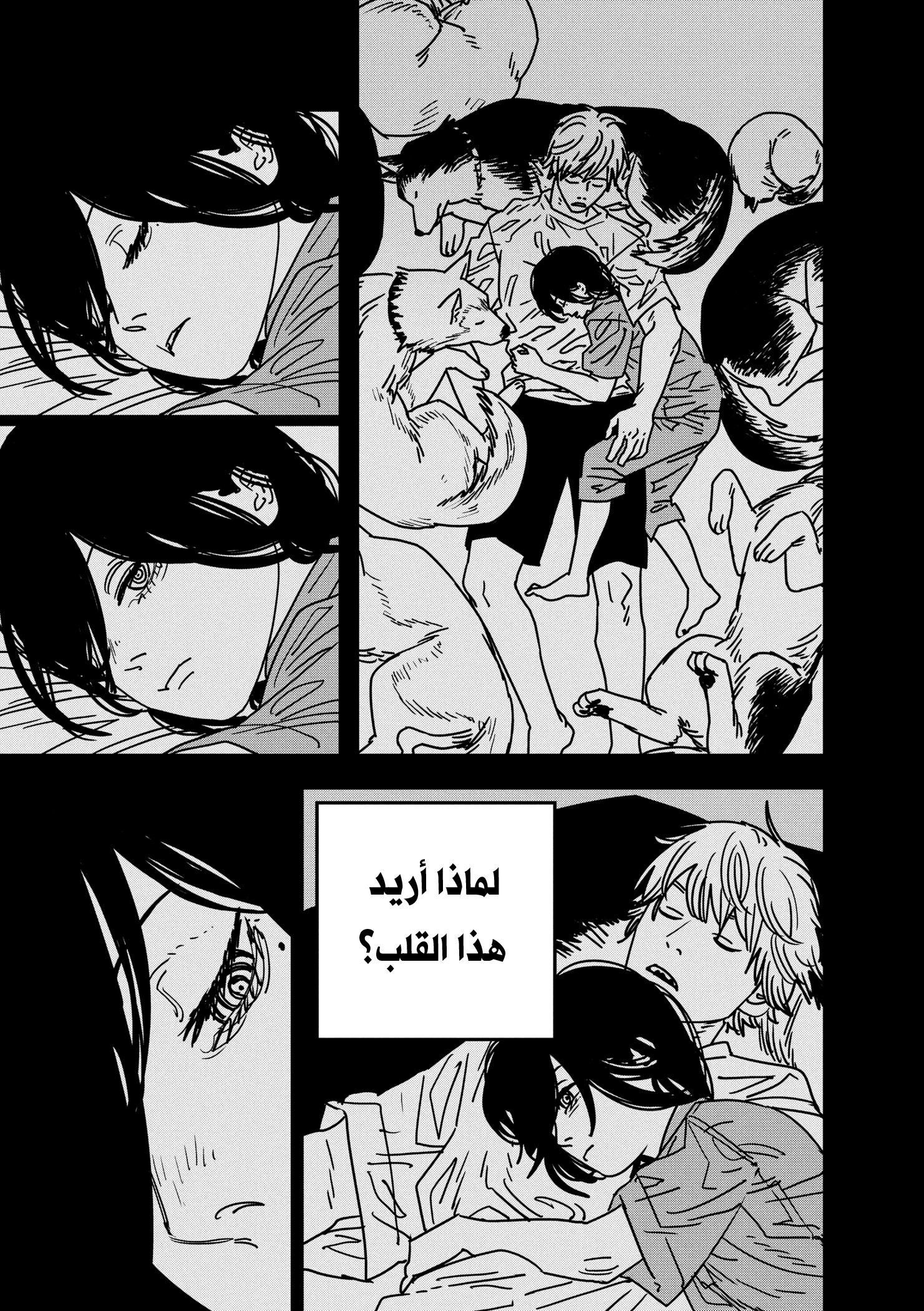 صفحة 7