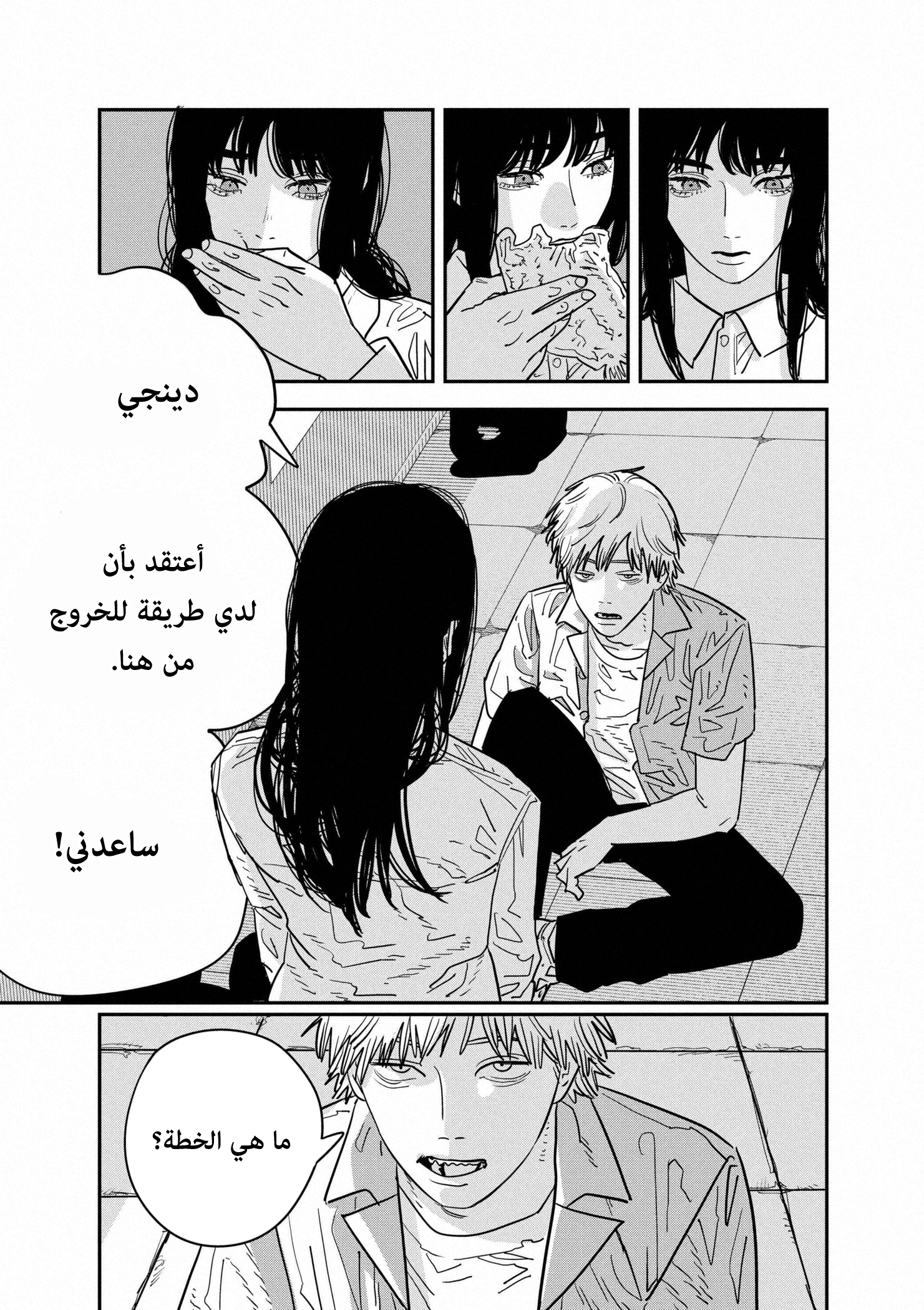 صفحة 13