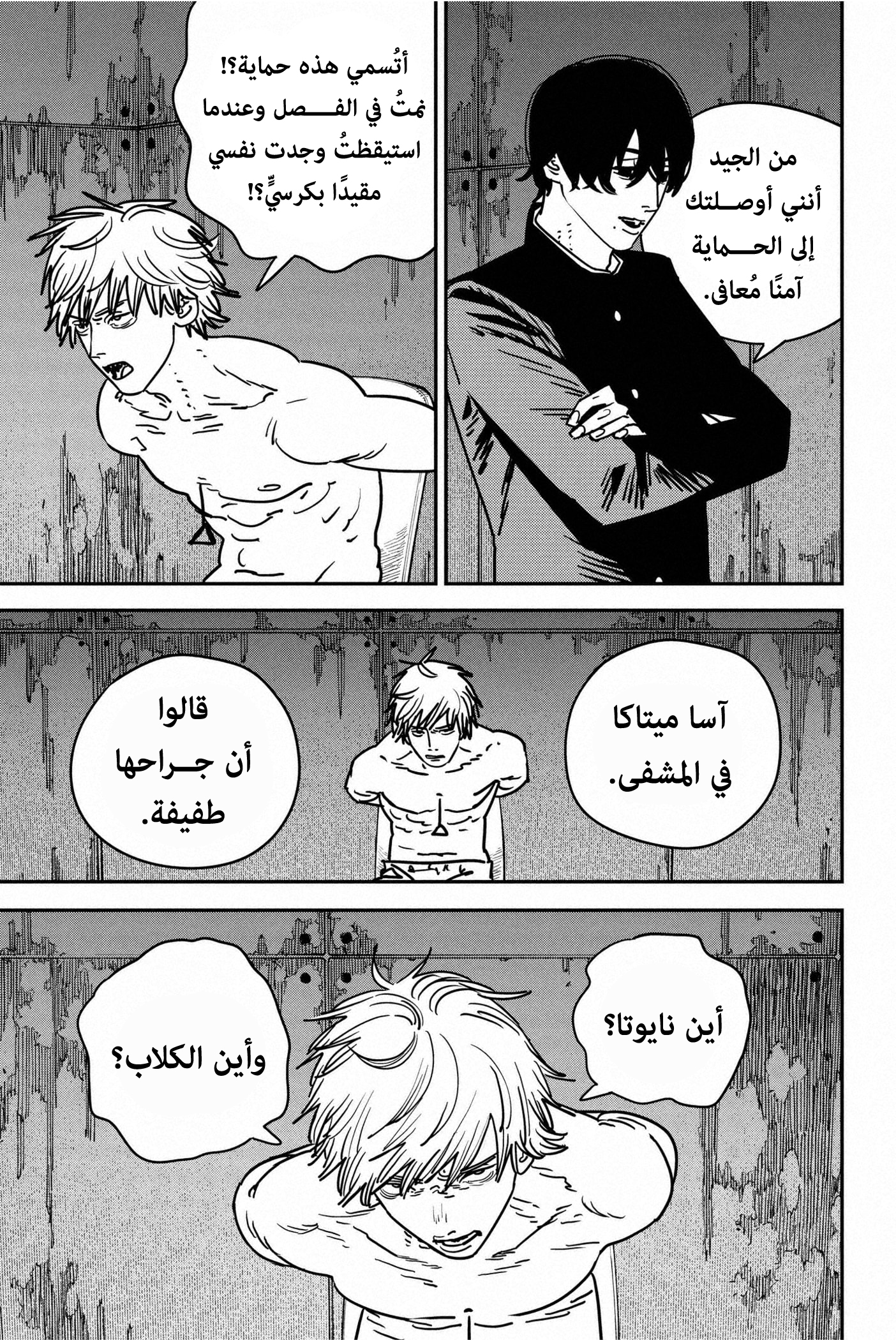 صفحة 13