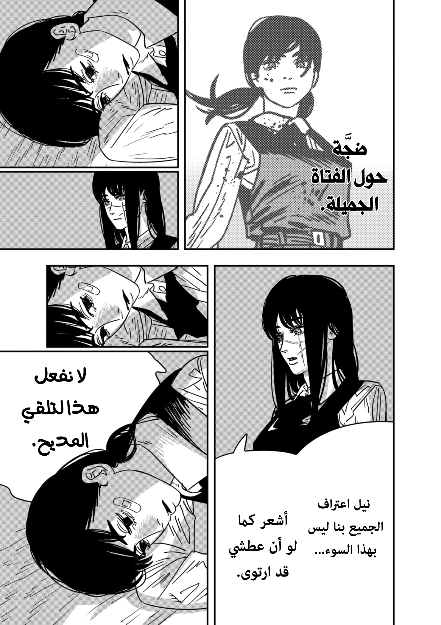 صفحة 13